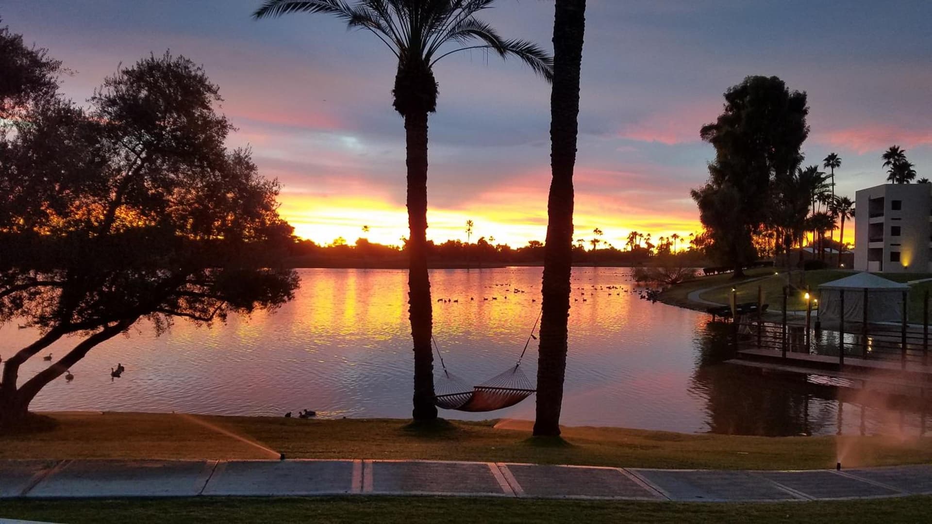 The McCormick Scottsdale gallery photo in Scottsdale, AZ — image 7
