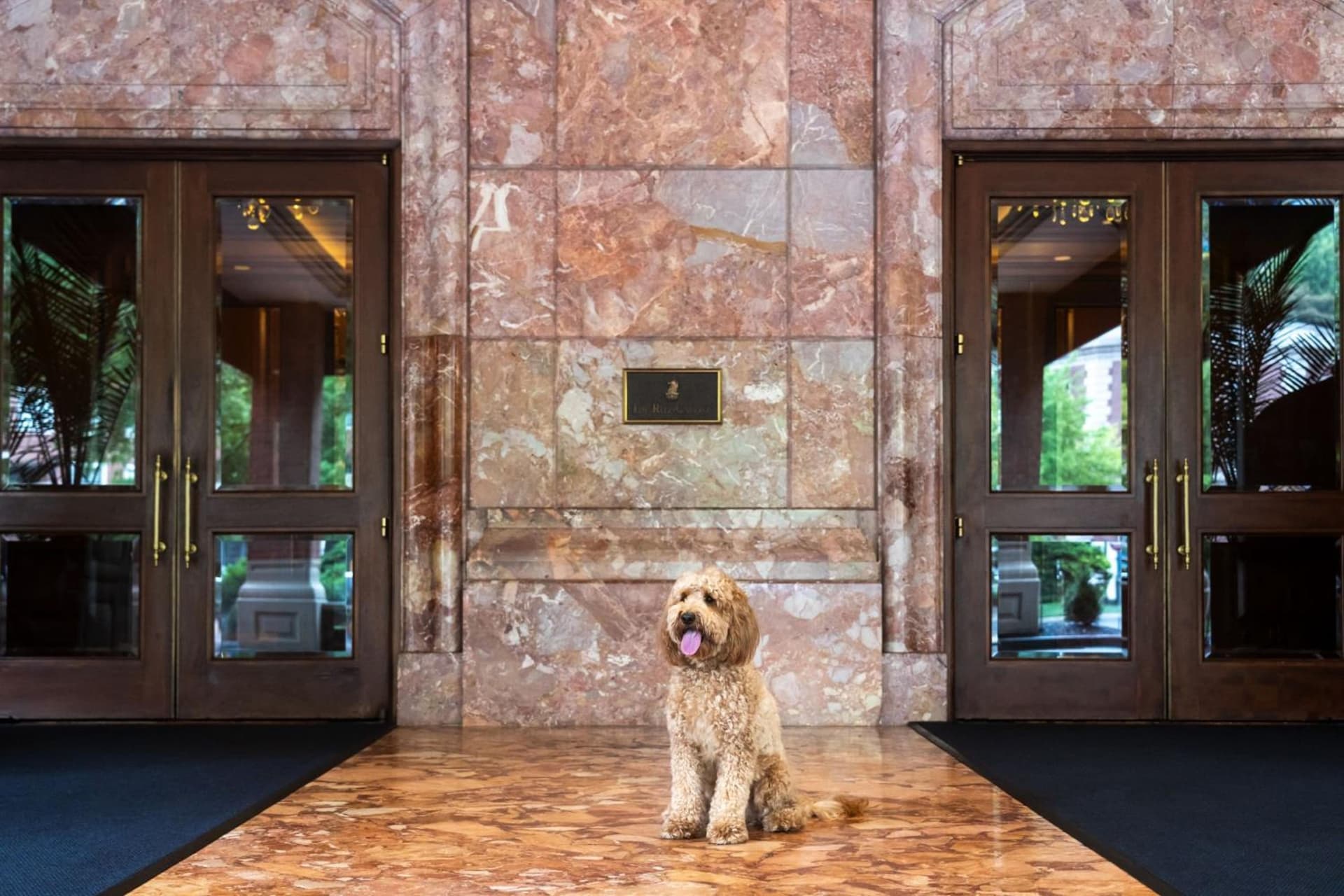 The Ritz-Carlton, St. Louis gallery photo in Clayton, MO — image 29