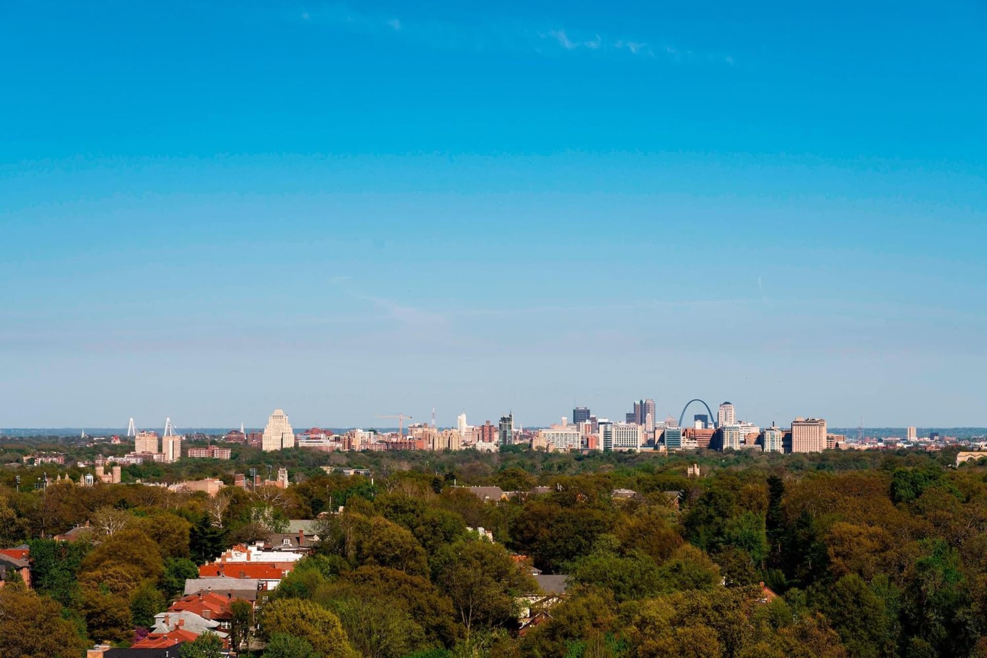 The Ritz-Carlton, St. Louis gallery photo in Clayton, MO — image 101