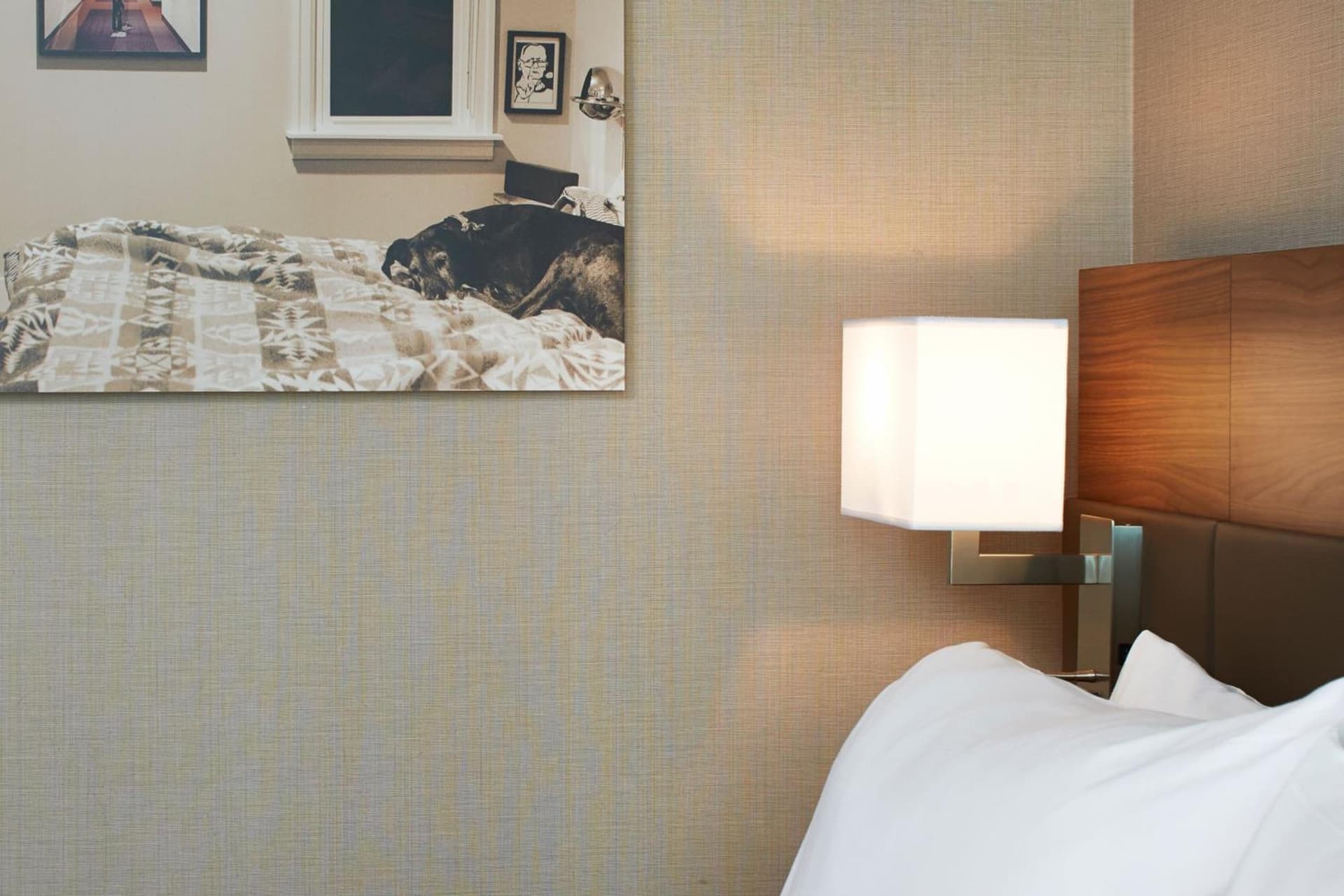 AC Hotel by Marriott Seattle Bellevue/Downtown gallery photo in Bellevue, WA — image 27