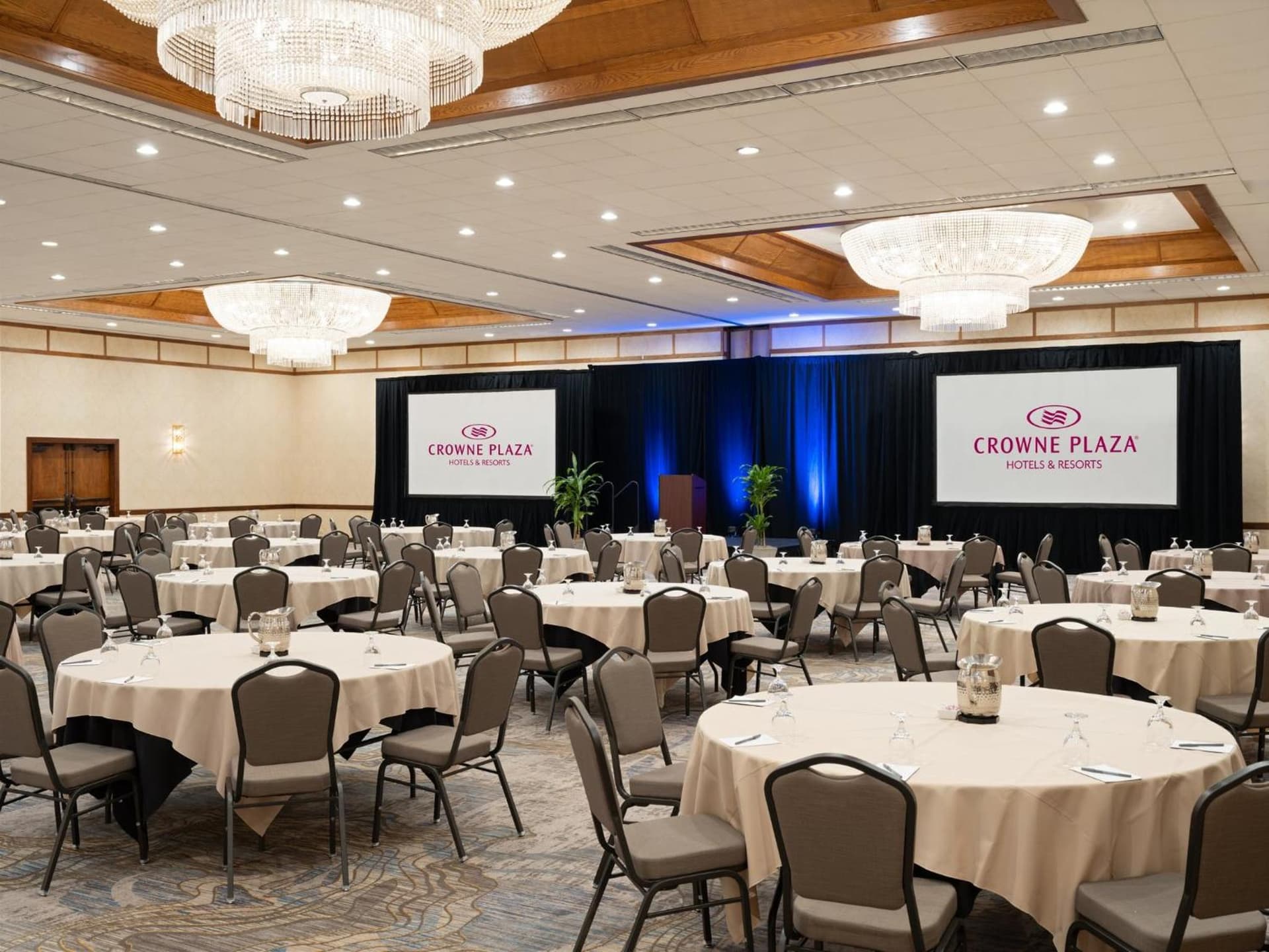 Crowne Plaza Phoenix - Chandler Golf Resort by IHG gallery photo in Chandler, AZ — image 91