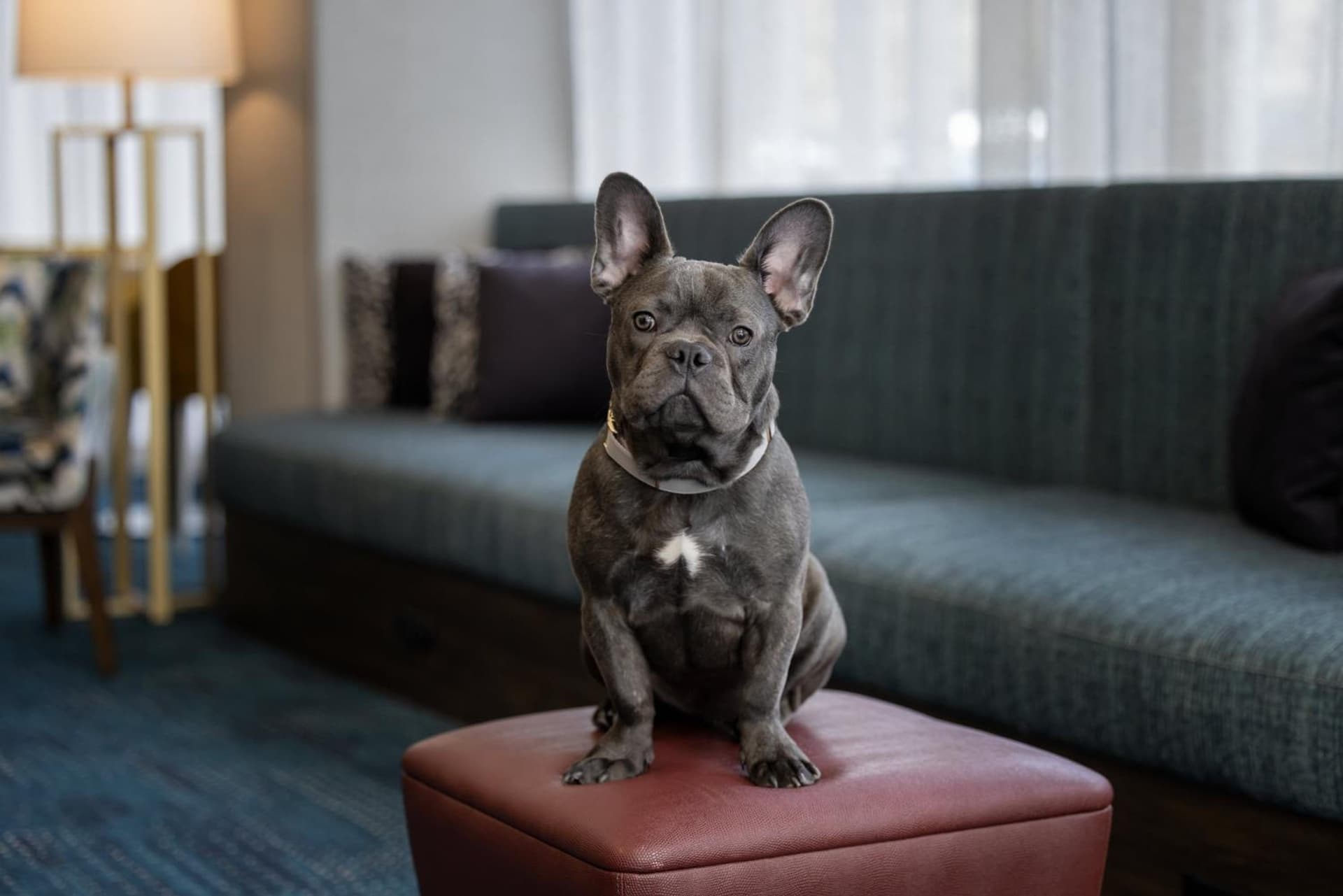 Hampton Inn Cleveland-Downtown gallery photo in Cleveland, OH — image 37