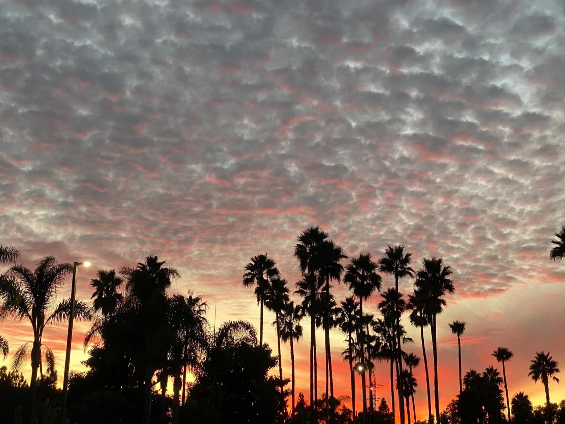 Holiday Inn Express & Suites Carlsbad Beach by IHG gallery photo in Carlsbad, CA — image 18