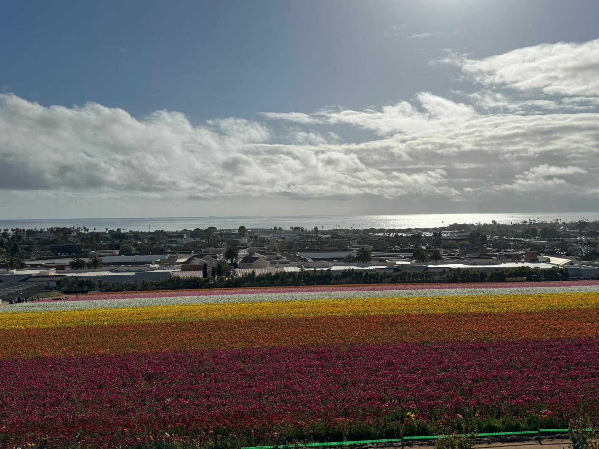 Holiday Inn Express & Suites Carlsbad Beach by IHG gallery photo in Carlsbad, CA — image 28