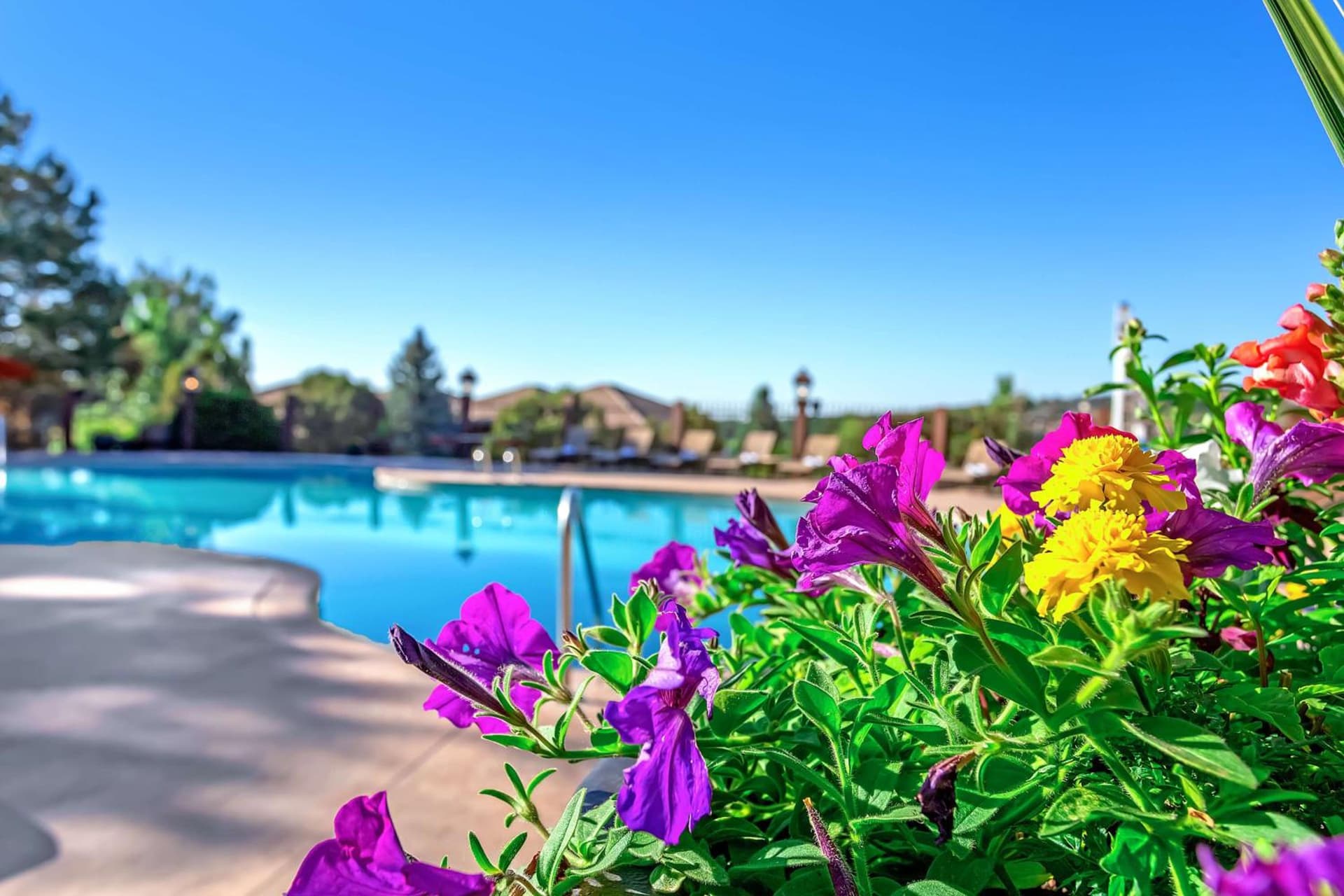 Cheyenne Mountain Resort, a Destination by Hyatt Hotels gallery photo in Colorado Springs, CO — image 6