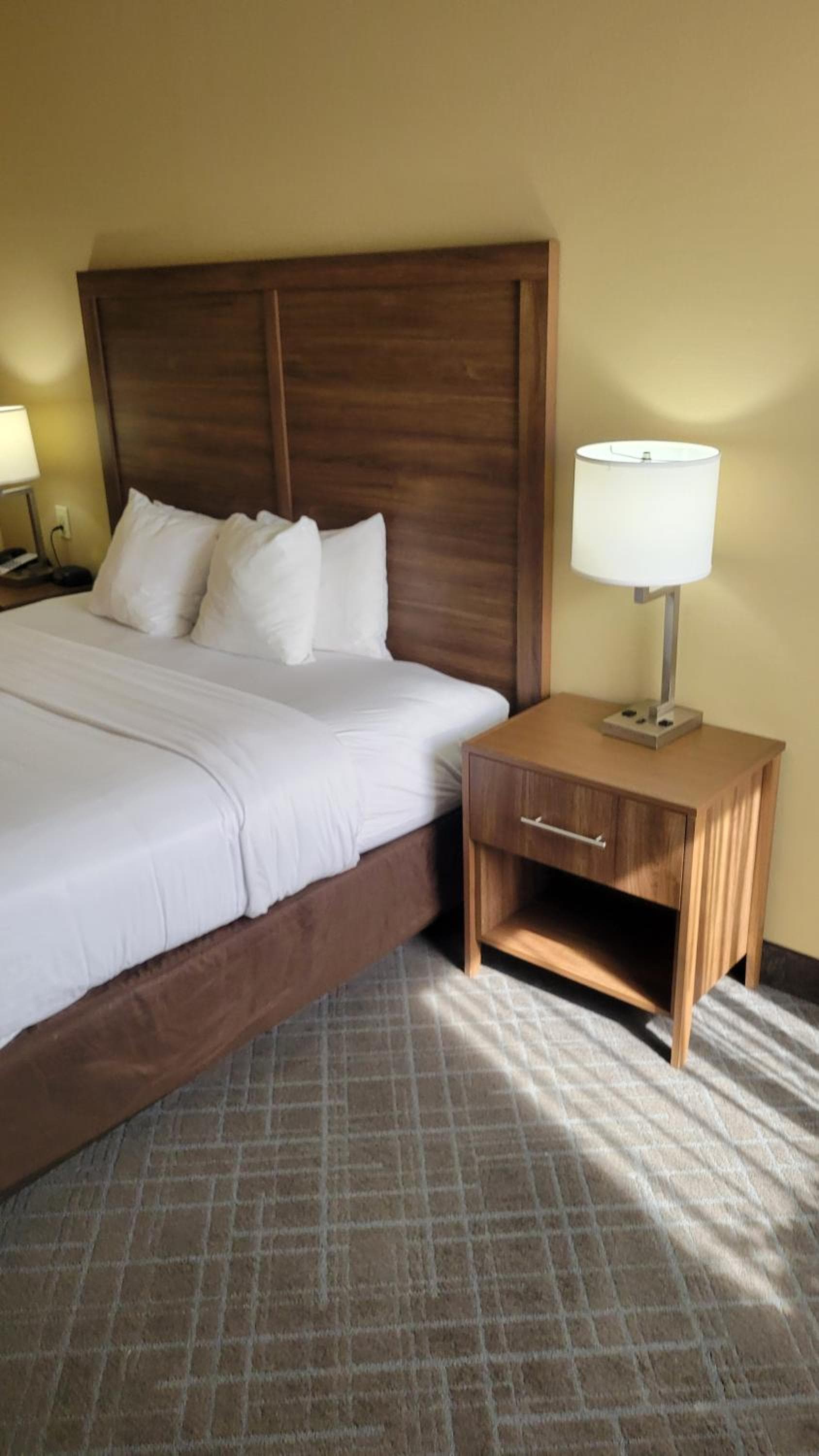 Comfort Inn & Suites at Stone Mountain gallery photo in Stone Mountain, GA — image 14