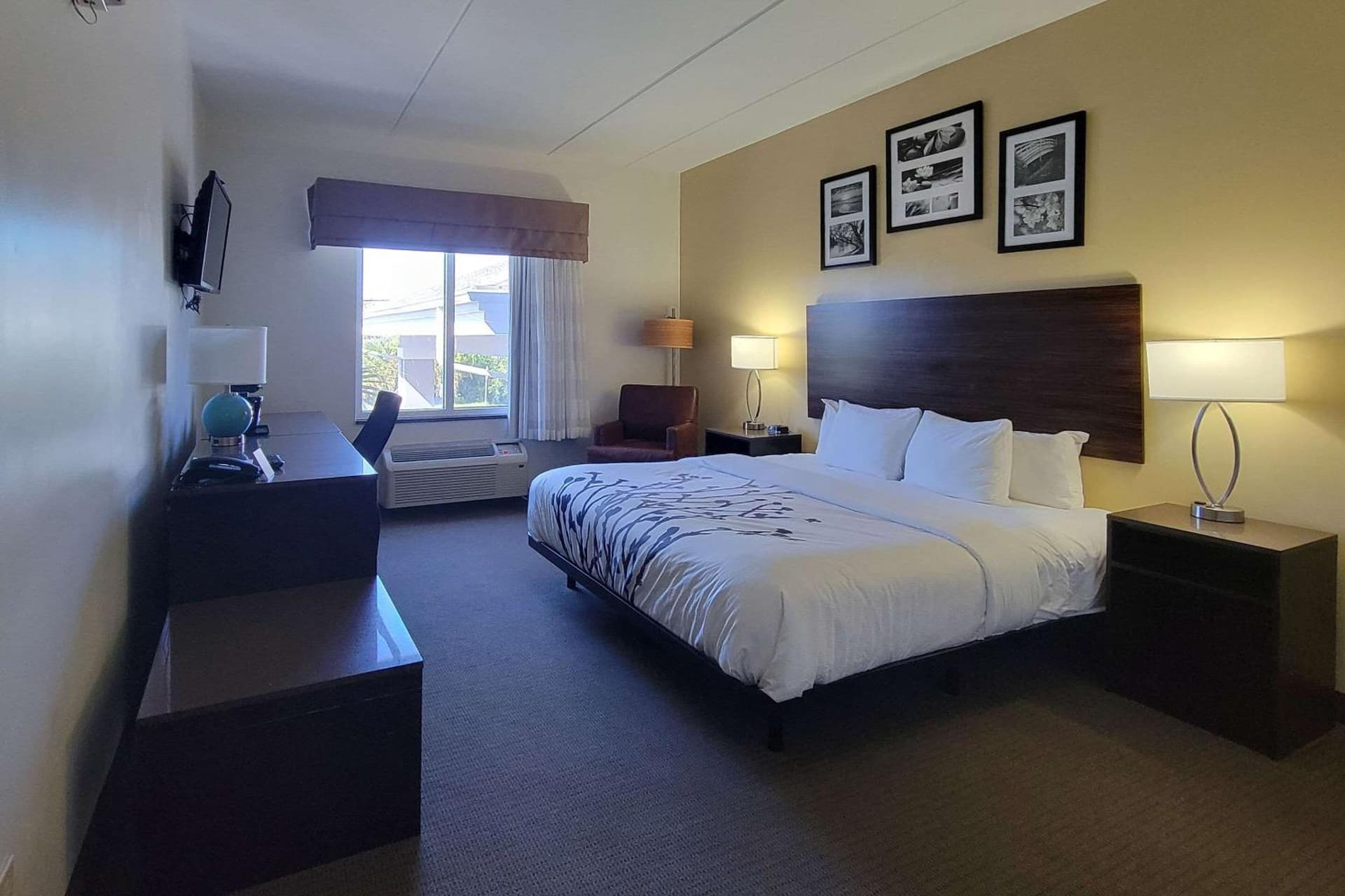 Garner Hotel Panama City Beach Northeast by IHG gallery photo in Panama City Beach, FL — image 4
