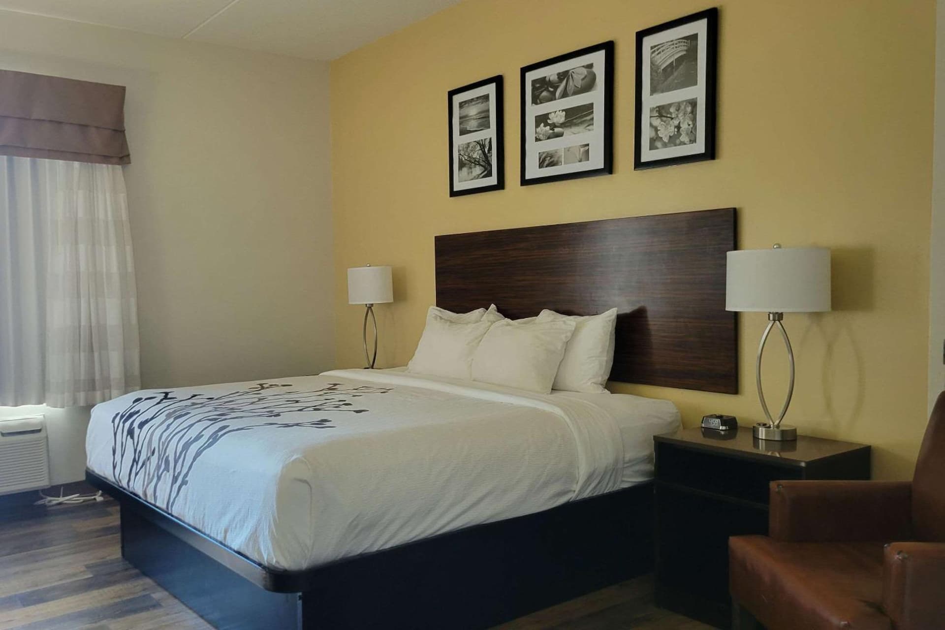 Garner Hotel Panama City Beach Northeast by IHG gallery photo in Panama City Beach, FL — image 15