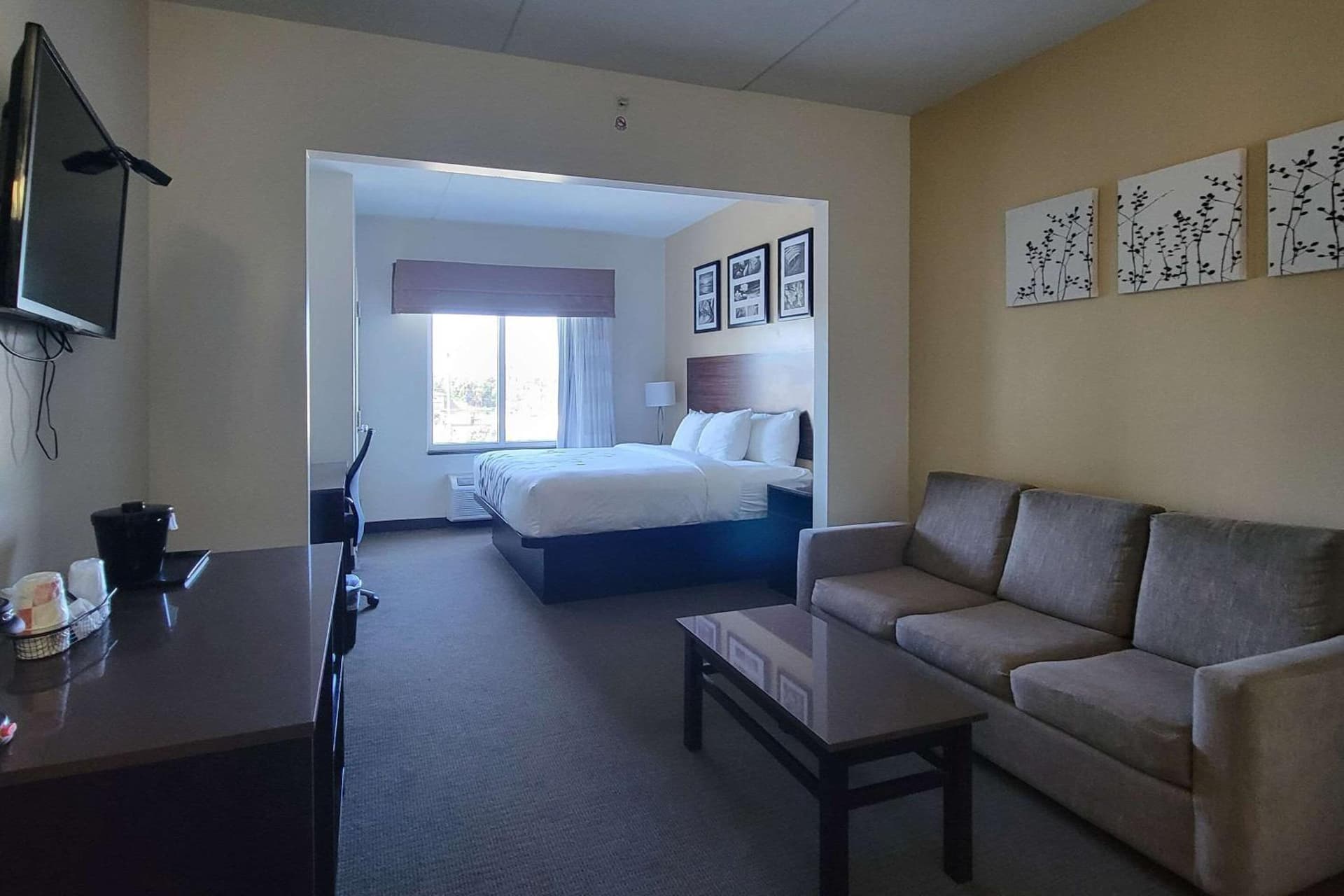 Garner Hotel Panama City Beach Northeast by IHG gallery photo in Panama City Beach, FL — image 14