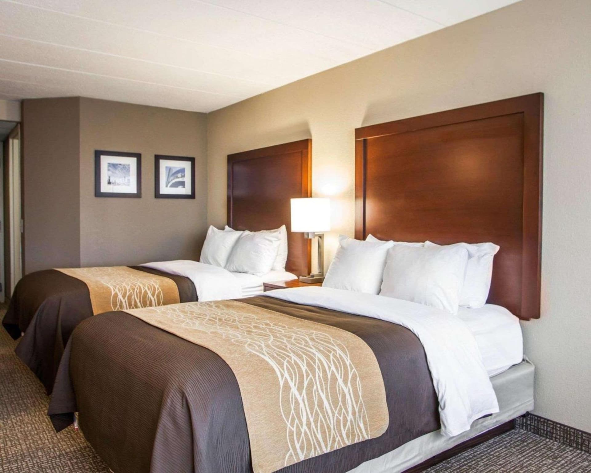 Quality Inn & Suites Orland Park - Chicago gallery photo in Orland Park, IL — image 5