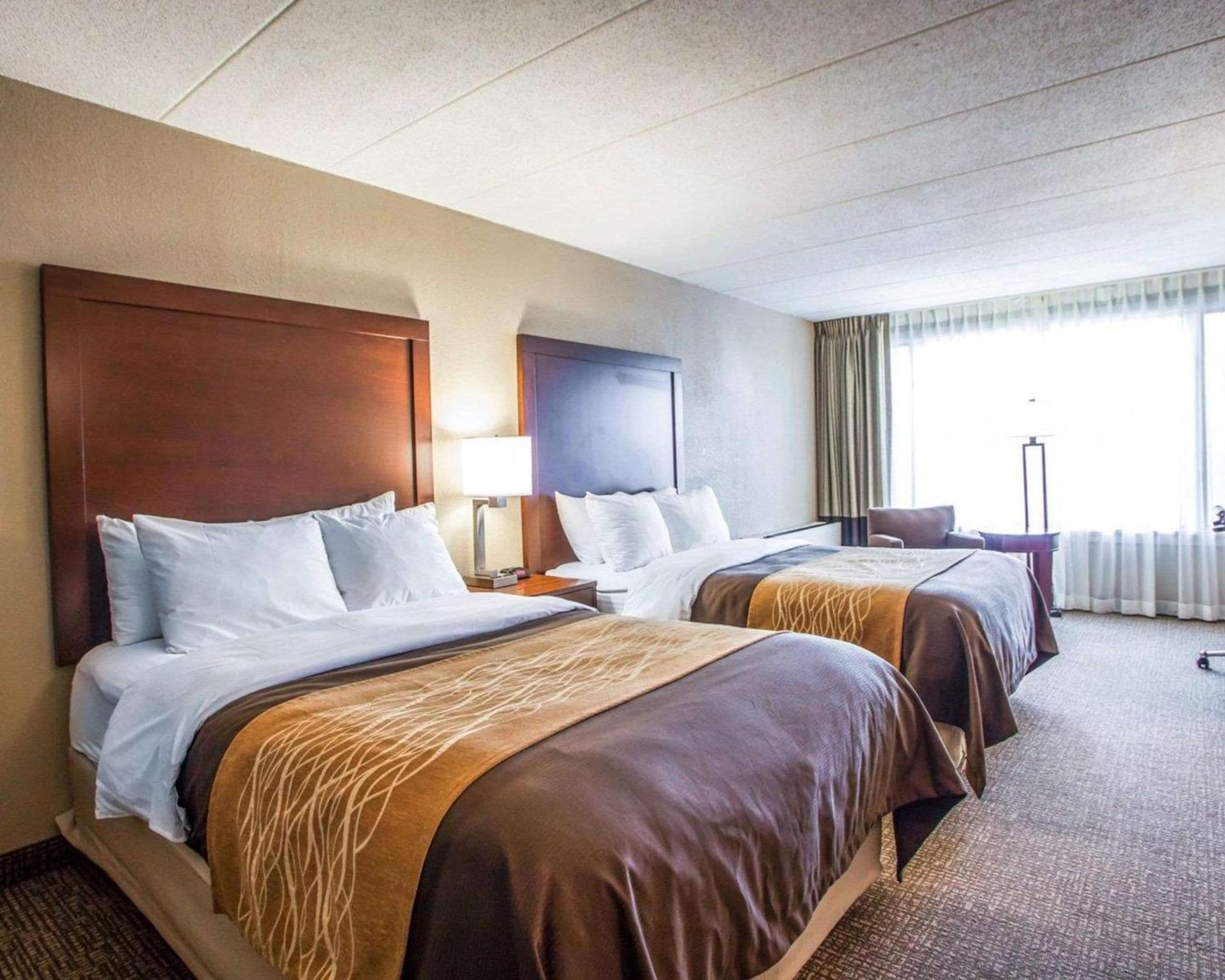 Quality Inn & Suites Orland Park - Chicago gallery photo in Orland Park, IL — image 36