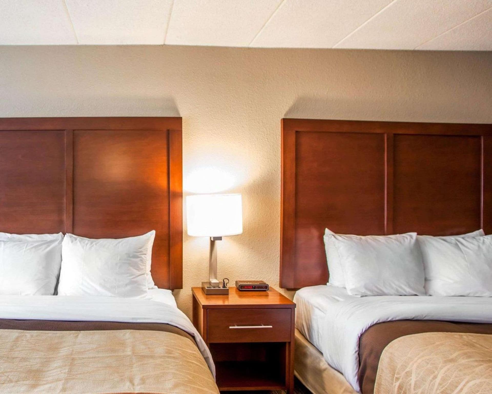 Quality Inn & Suites Orland Park - Chicago gallery photo in Orland Park, IL — image 21