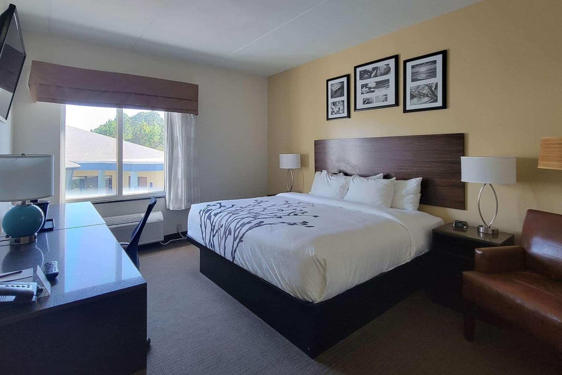 Garner Hotel Panama City Beach Northeast by IHG property views in Panama City Beach, FL — gallery photo 3