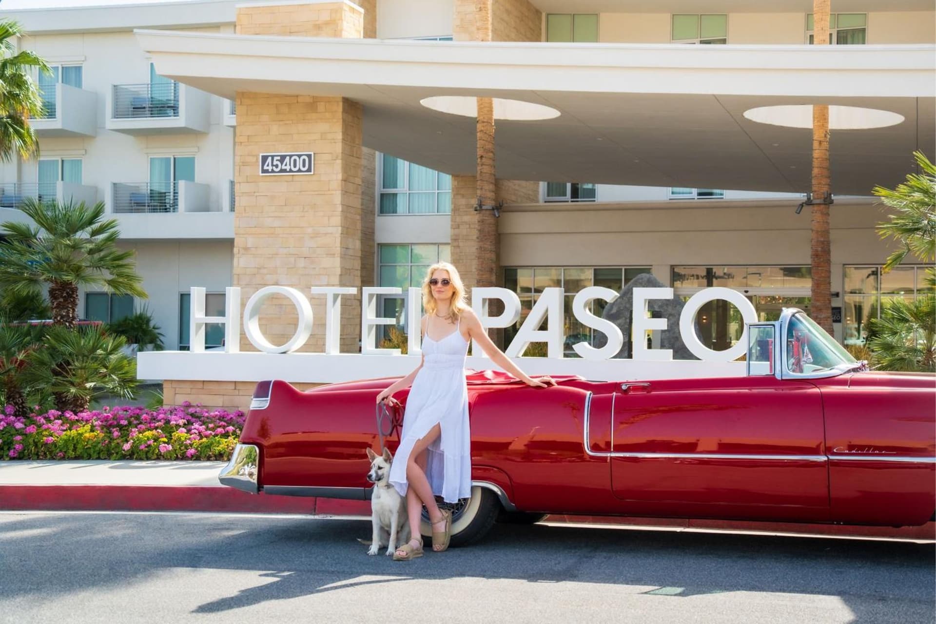 HOTEL PASEO, Autograph Collection gallery photo in Palm Desert, CA — image 84
