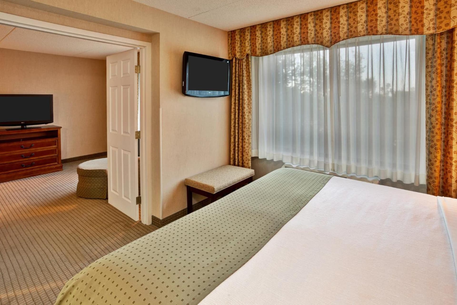 Holiday Inn Hotel & Suites Ann Arbor University of Michigan Area by IHG gallery photo in Ann Arbor, MI — image 38