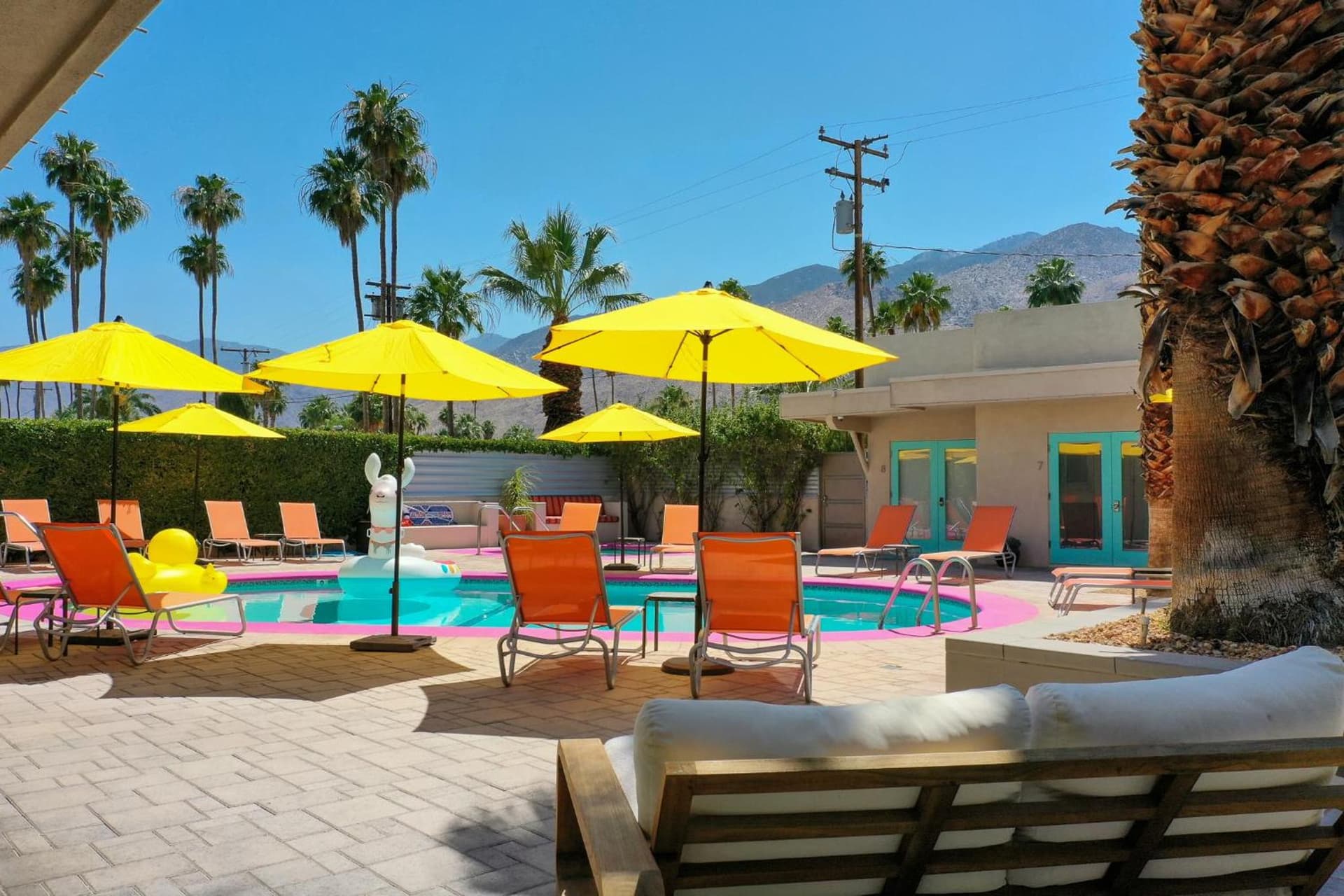 El Noa Noa - 21 and Over gallery photo in Palm Springs, CA — image 43