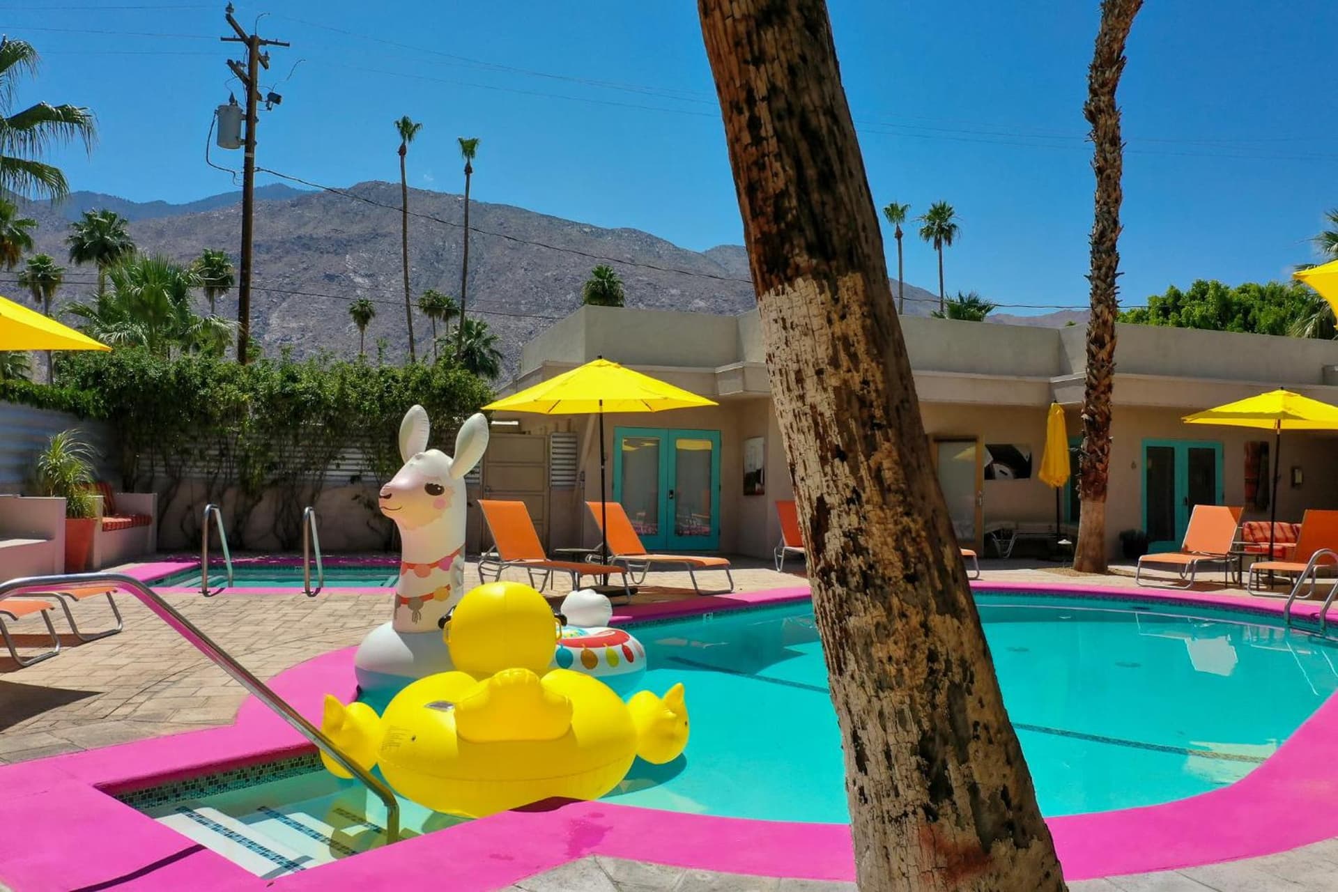 El Noa Noa - 21 and Over gallery photo in Palm Springs, CA — image 55