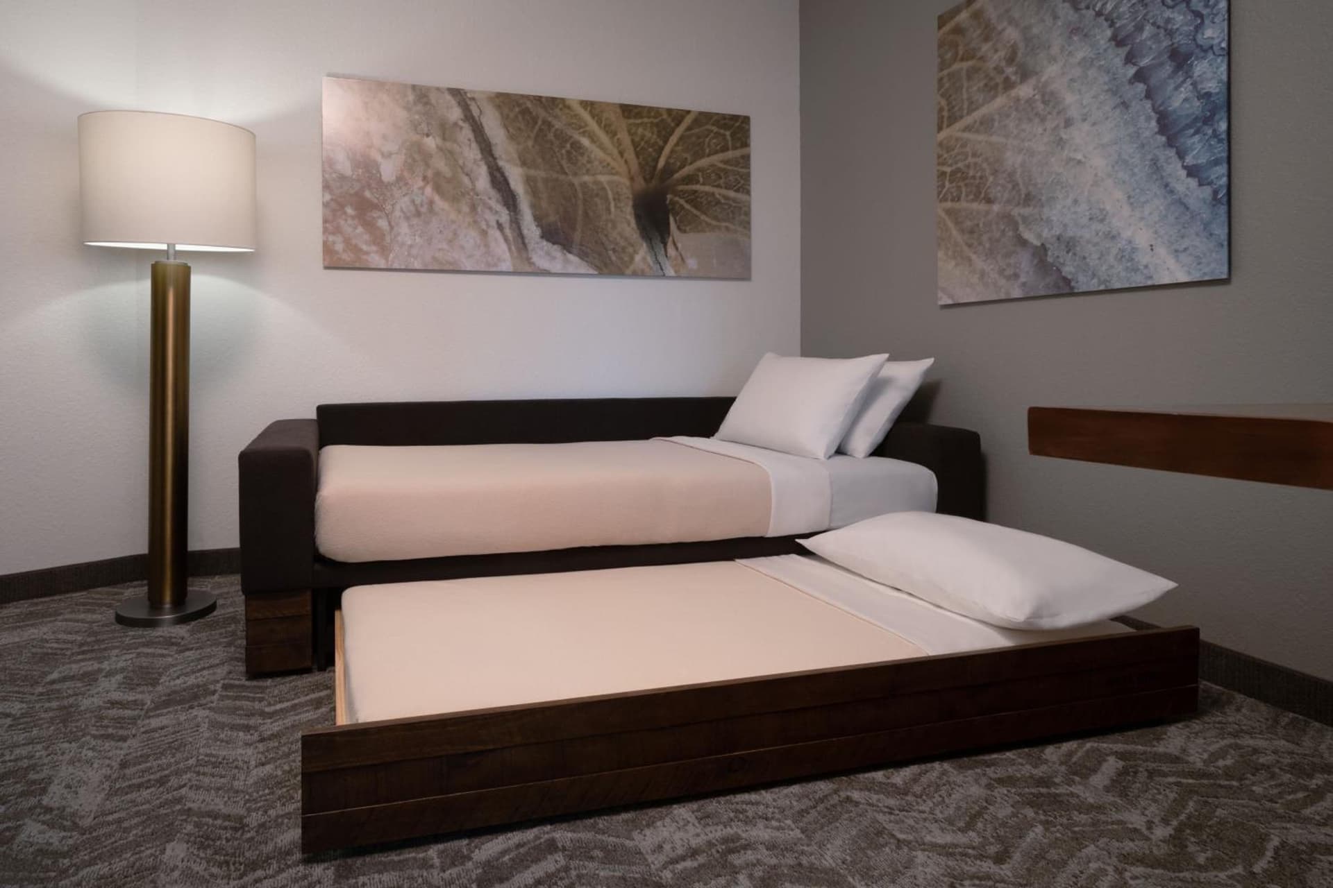 SpringHill Suites by Marriott Orlando at FLAMINGO CROSSINGS Town Center-Western Entrance gallery photo in Orlando, FL — image 8