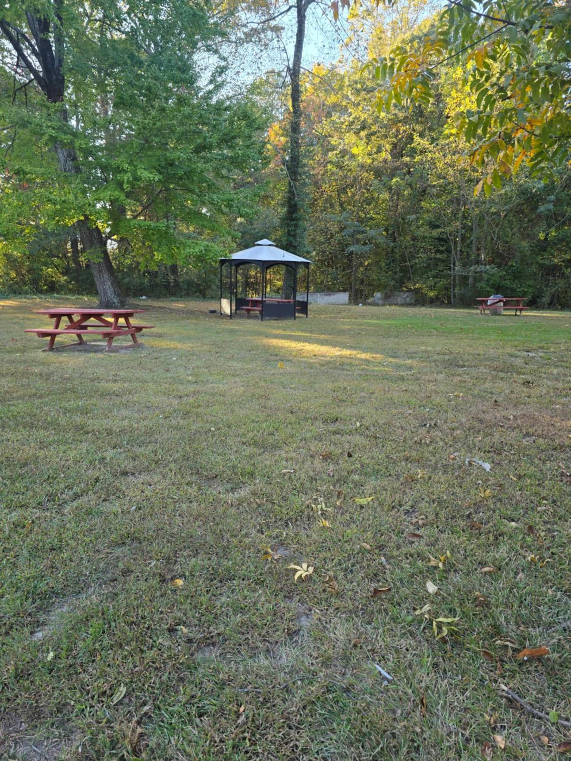 Wyndham Garden Williamsburg Busch Gardens Area gallery photo in Williamsburg, VA — image 9