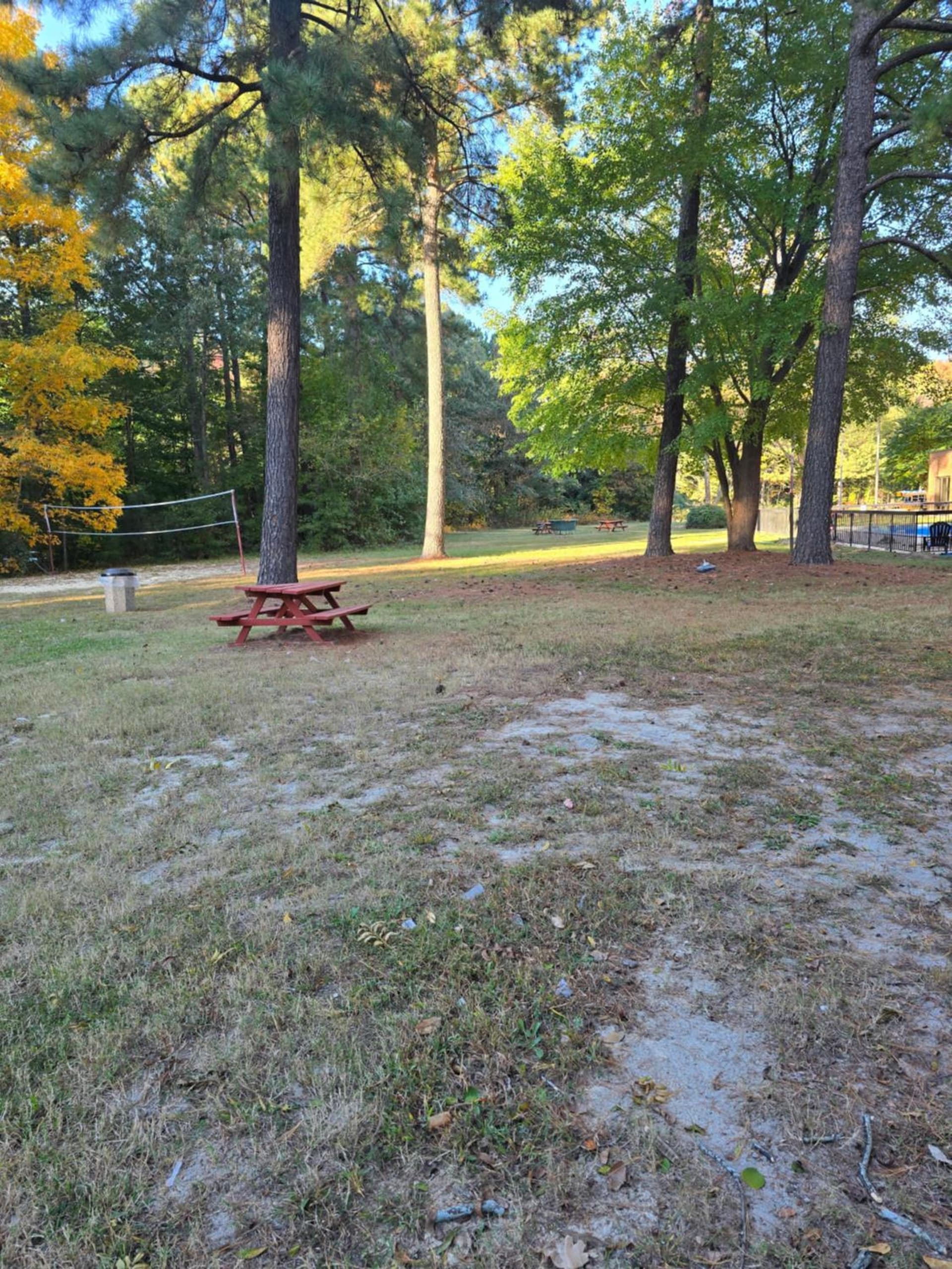 Wyndham Garden Williamsburg Busch Gardens Area gallery photo in Williamsburg, VA — image 17