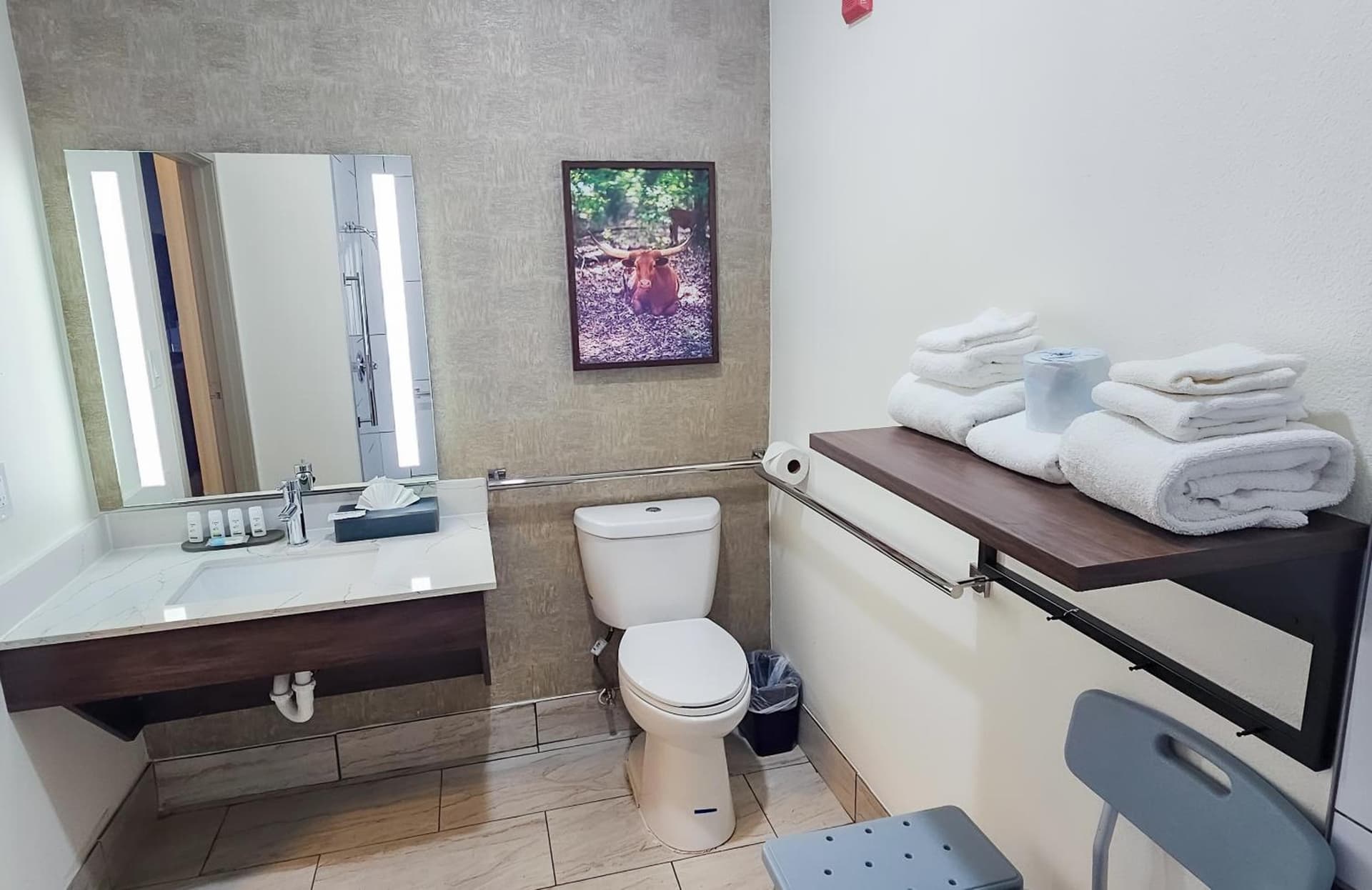 La Quinta by Wyndham Dallas Mesquite gallery photo in Mesquite, TX — image 46
