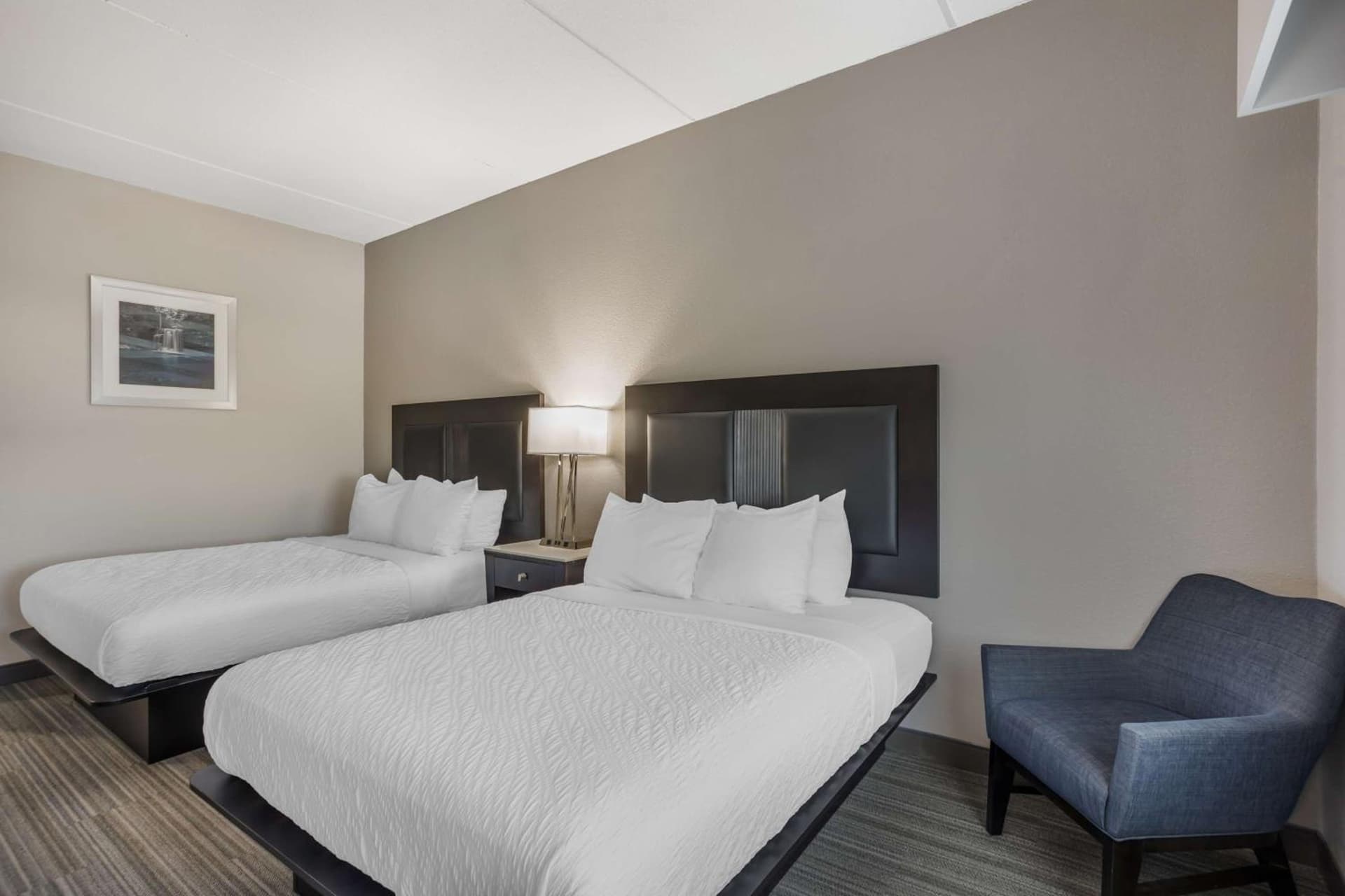 Best Western Plus Wilkes Barre-Scranton Airport Hotel gallery photo in Pittston, PA — image 27