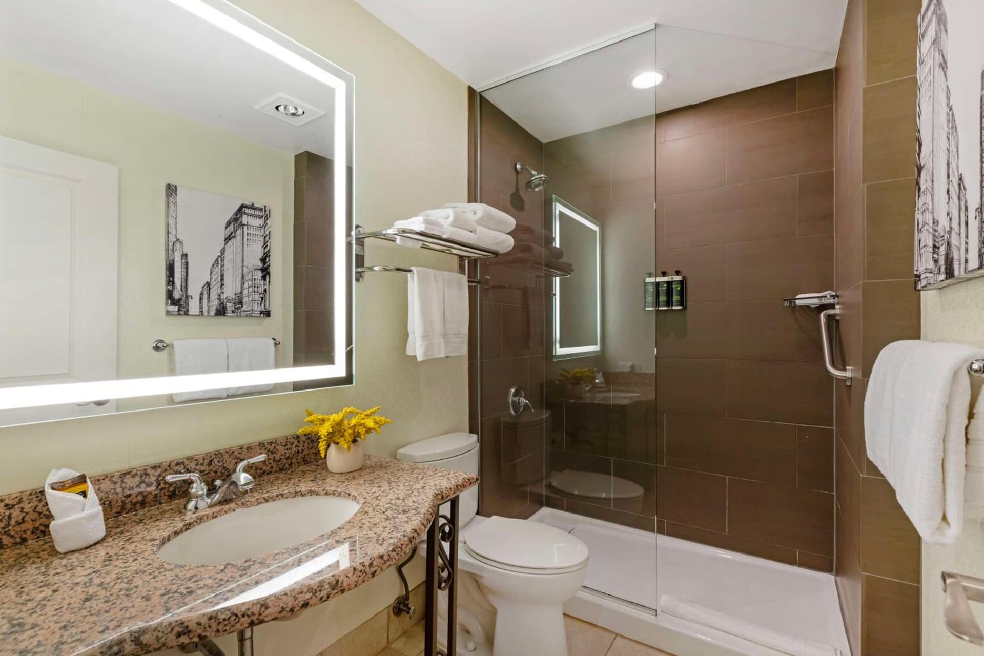 Best Western Plus Hawthorne Terrace Hotel gallery photo in Chicago, IL — image 60