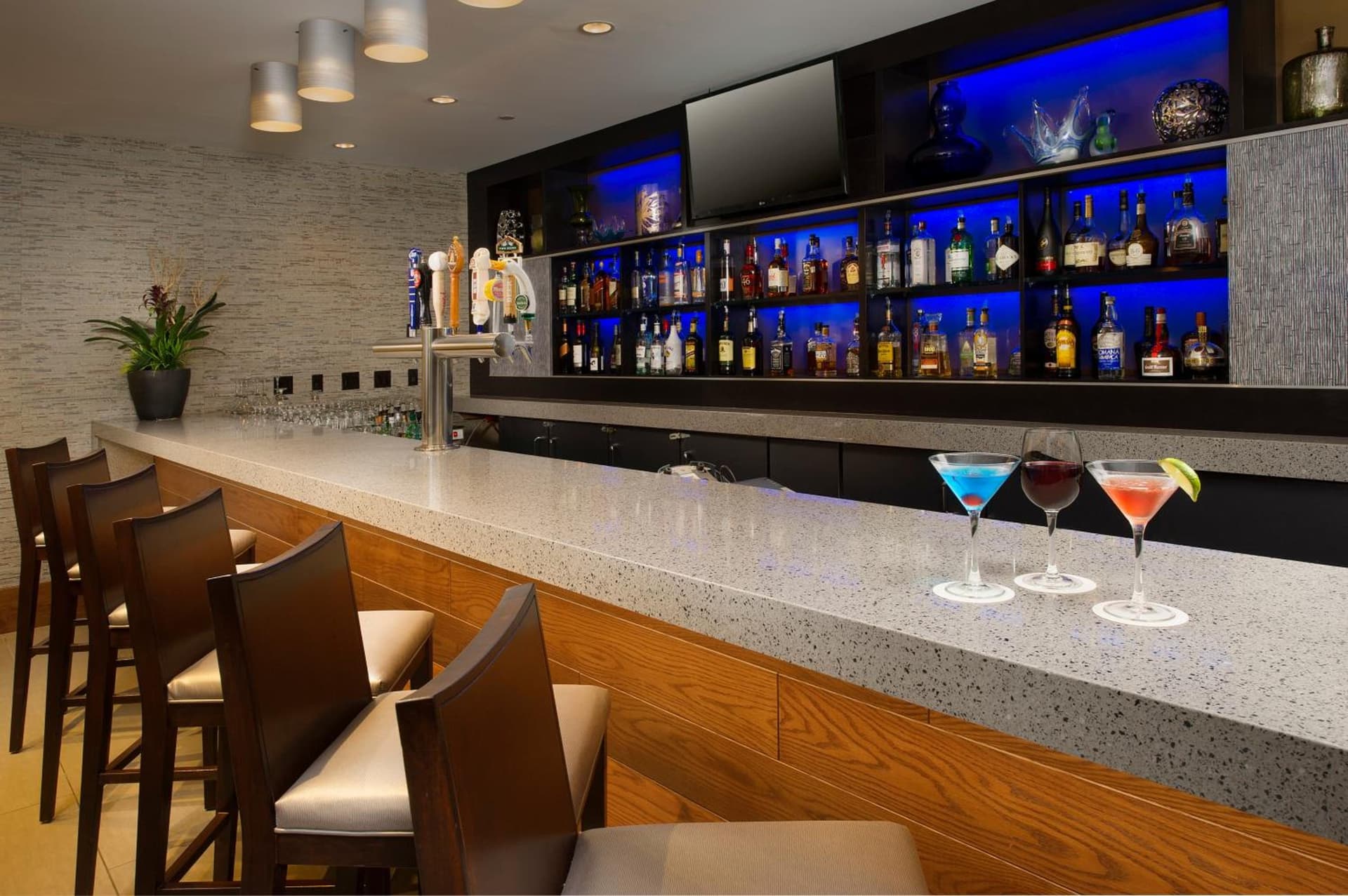 Skybridge Seattle Airport Hotel interior in Seattle, WA — gallery photo 2