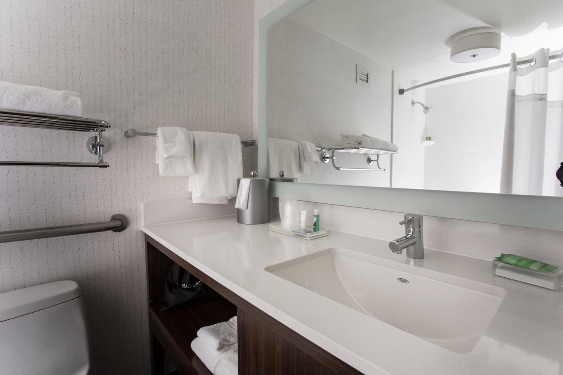 Holiday Inn Grand Rapids Downtown by IHG gallery photo in Grand Rapids, MI — image 29