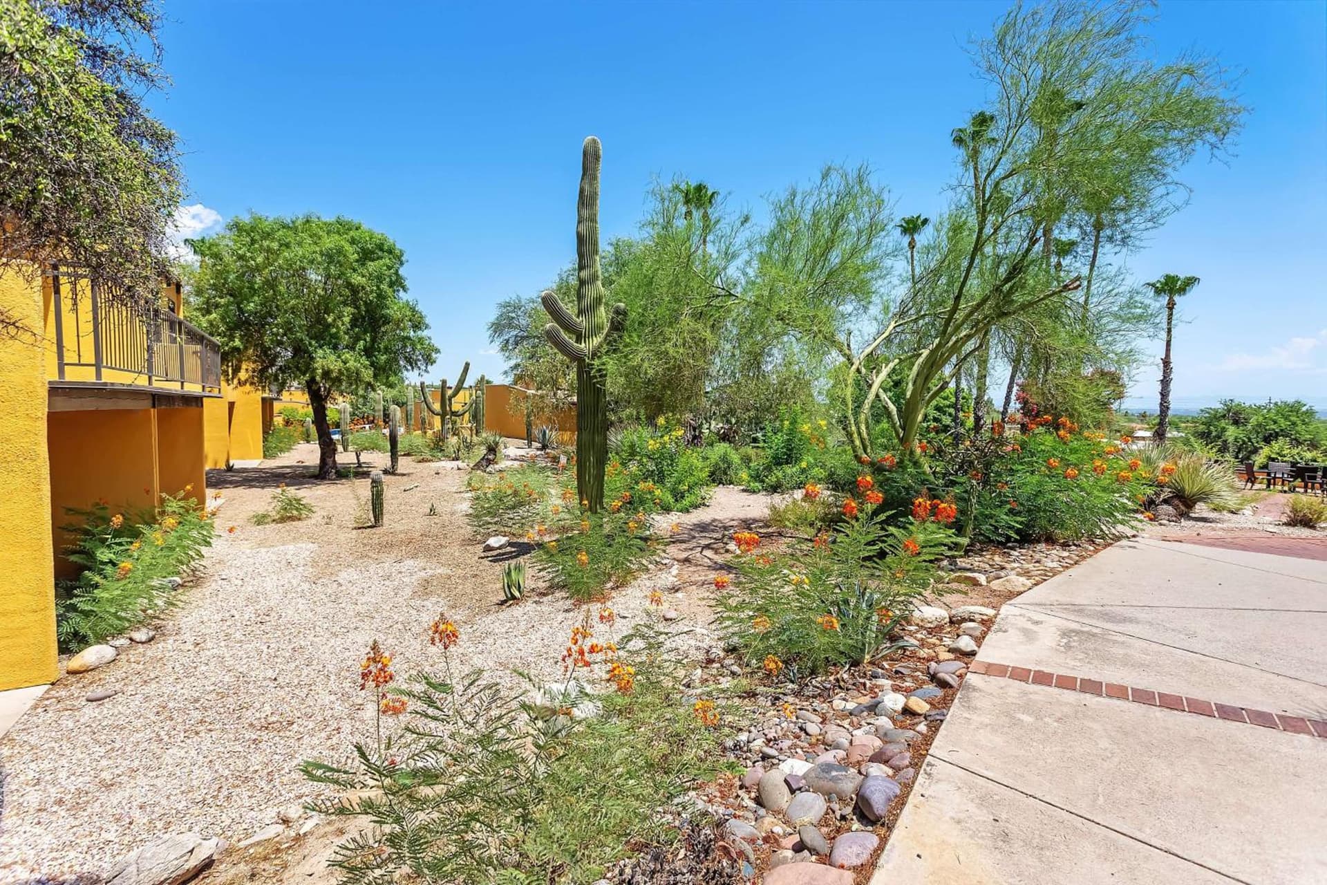 Westward Look Wyndham Grand Resort & Spa gallery photo in Tucson, AZ — image 25