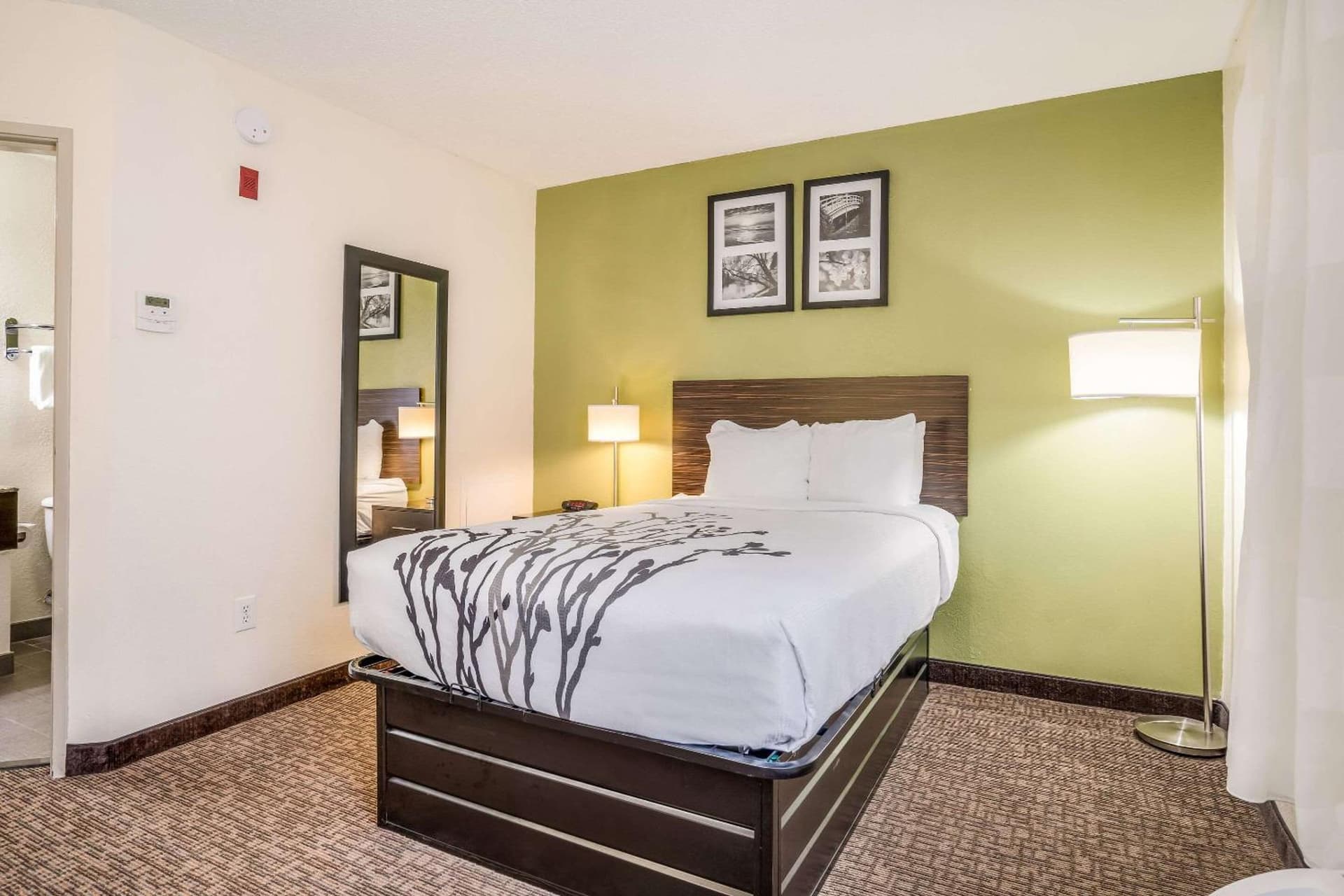 Sleep Inn & Suites Jacksonville near Camp Lejeune gallery photo in Jacksonville, NC — image 37