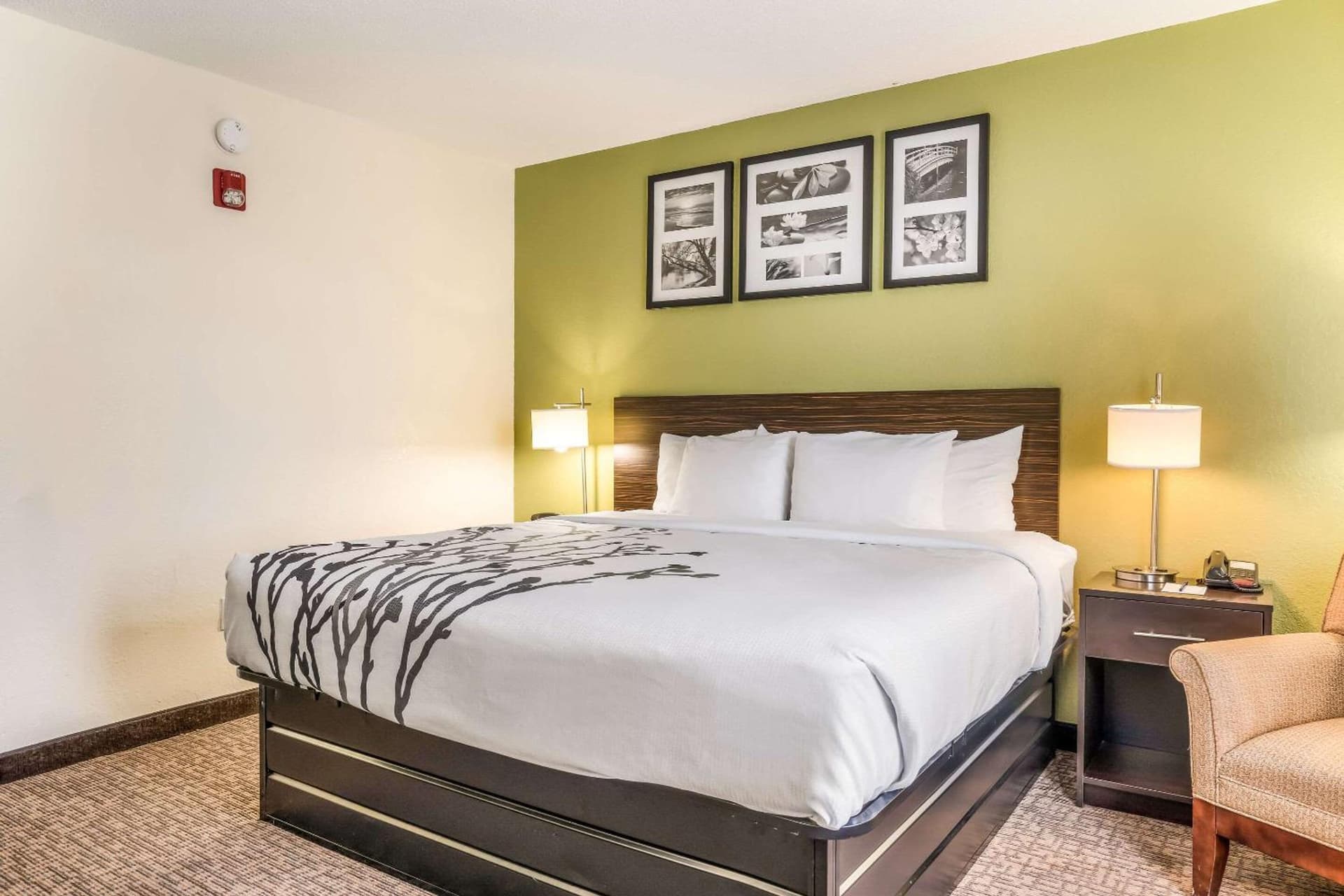 Sleep Inn & Suites Jacksonville near Camp Lejeune gallery photo in Jacksonville, NC — image 42