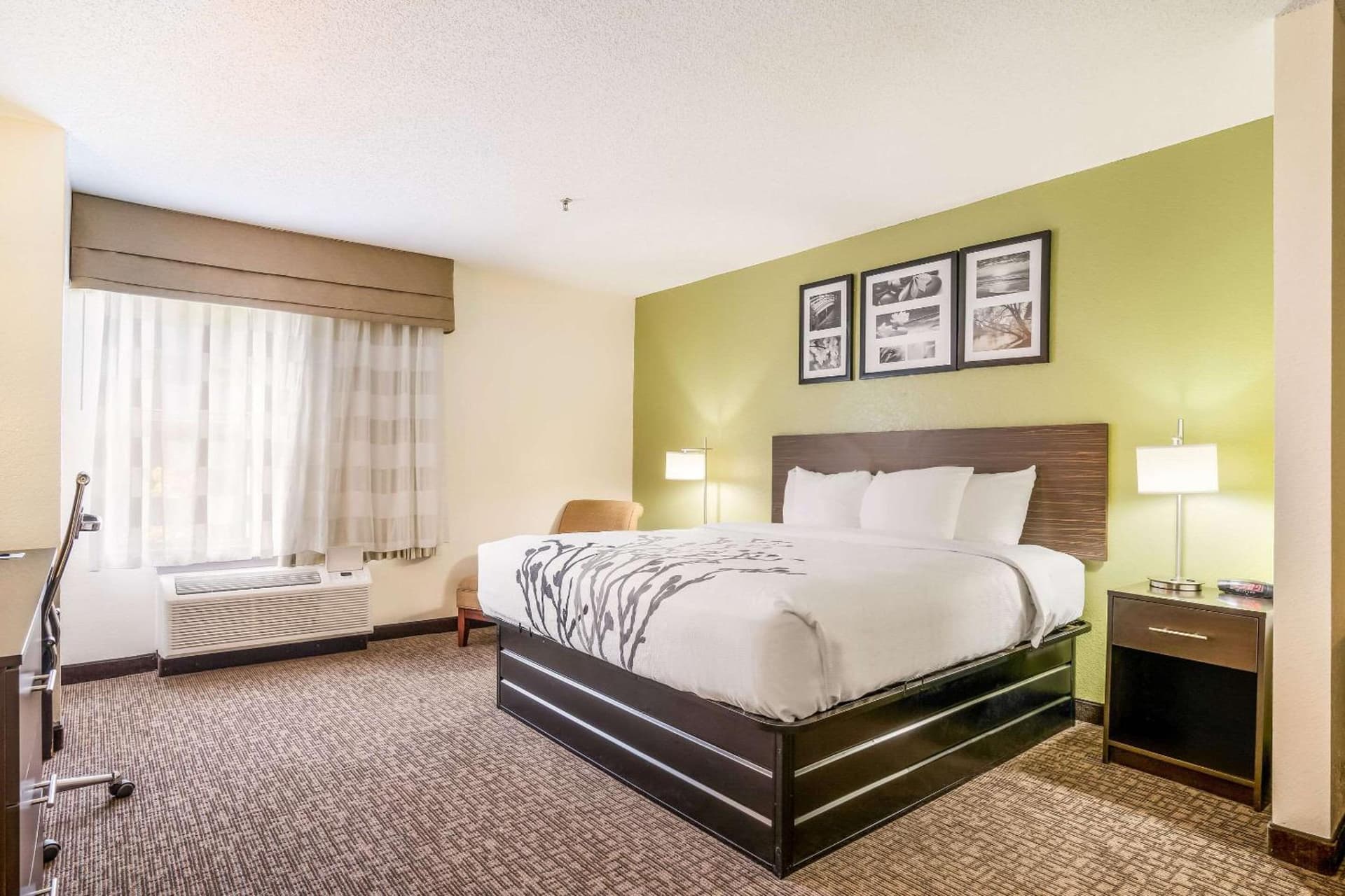 Sleep Inn & Suites Jacksonville near Camp Lejeune gallery photo in Jacksonville, NC — image 19