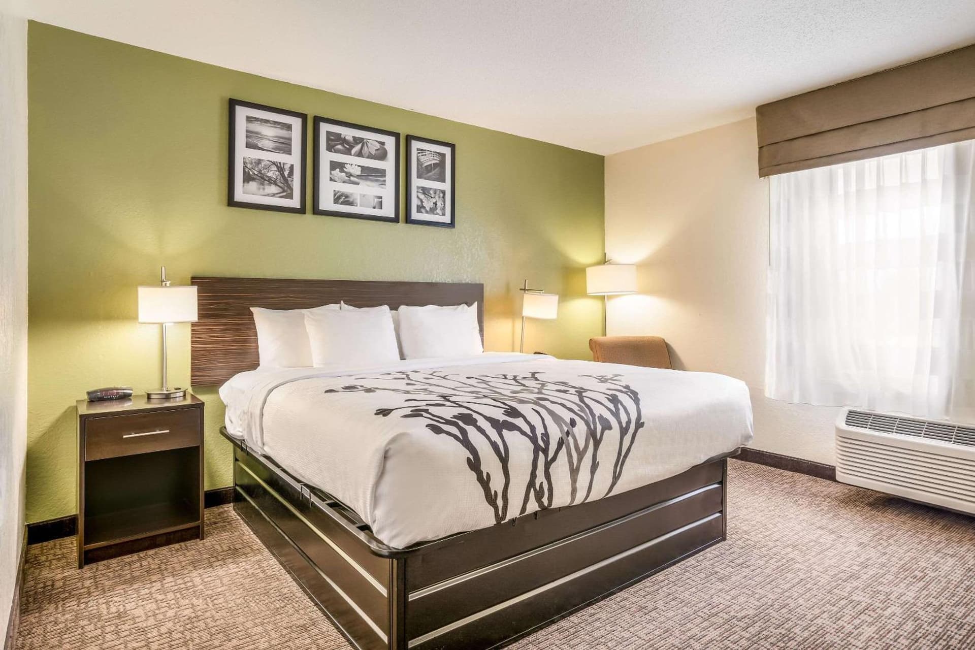 Sleep Inn & Suites Jacksonville near Camp Lejeune gallery photo in Jacksonville, NC — image 21
