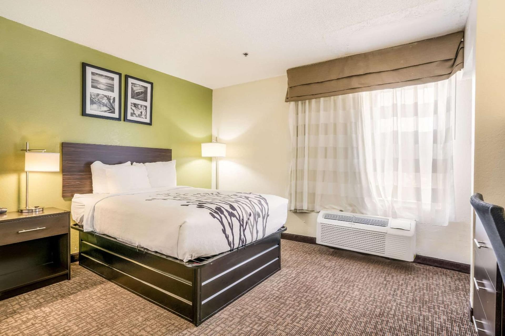 Sleep Inn & Suites Jacksonville near Camp Lejeune gallery photo in Jacksonville, NC — image 26
