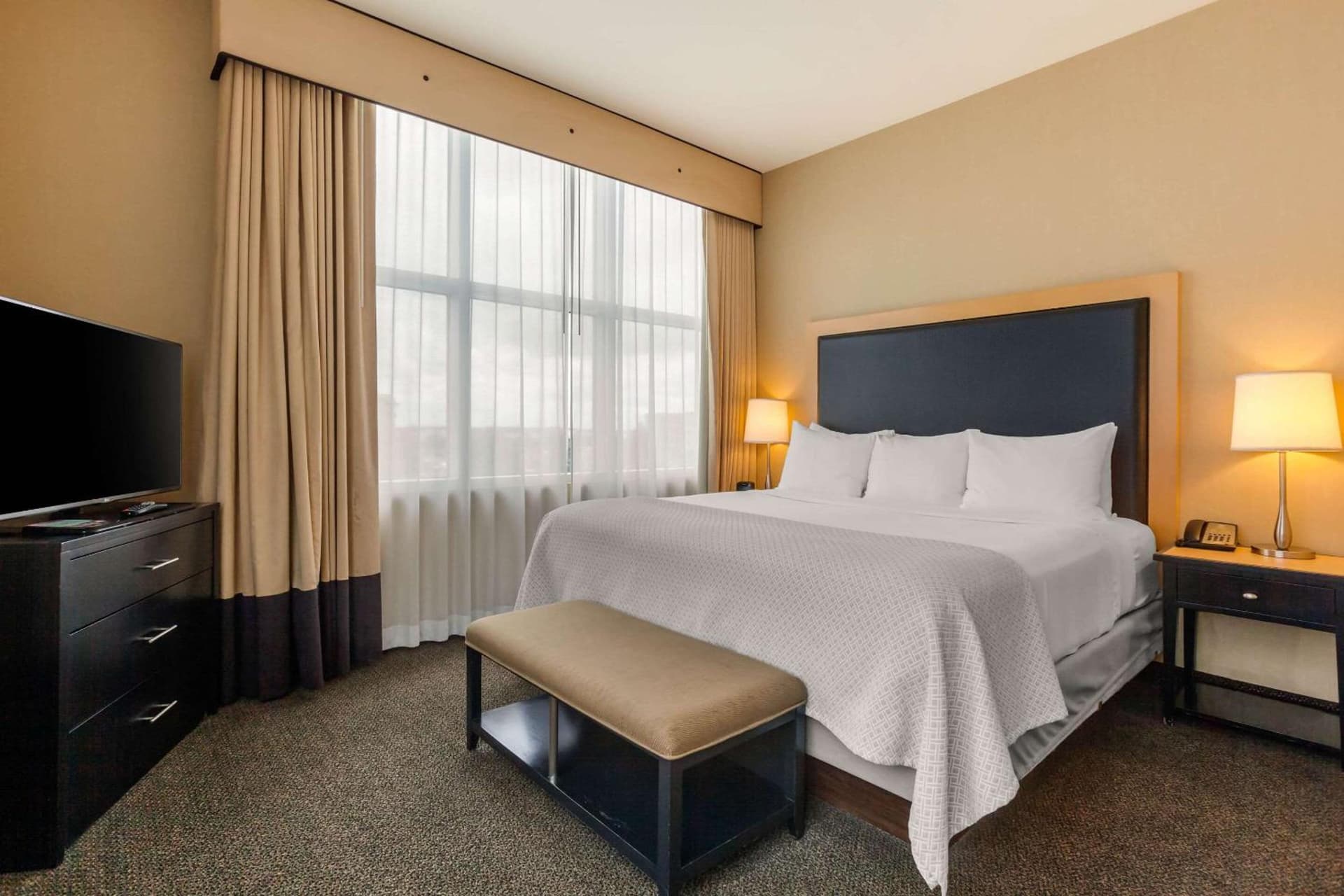 Cambria Hotel Denver International Airport gallery photo in Aurora, CO — image 10