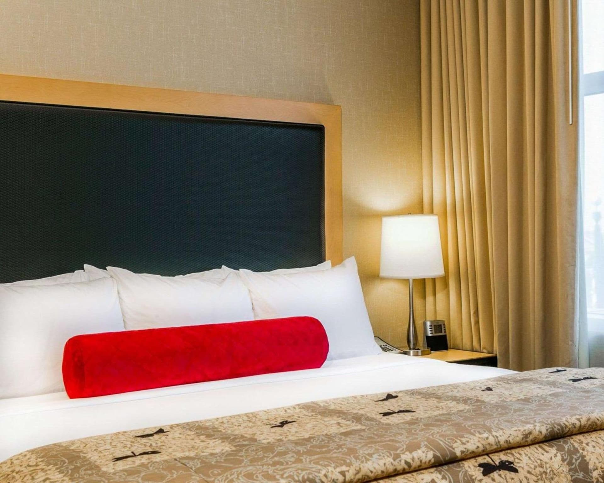 Cambria Hotel Denver International Airport gallery photo in Aurora, CO — image 17