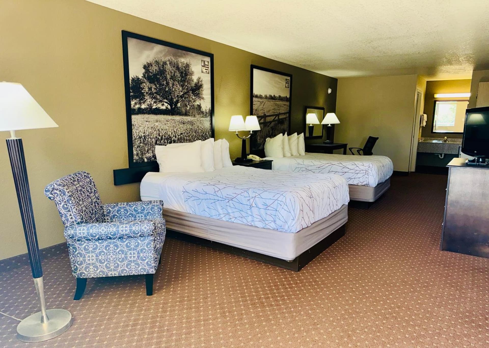 Hill Country Inn & Suites - New Braunfels, Gruene gallery photo in New Braunfels, TX — image 12