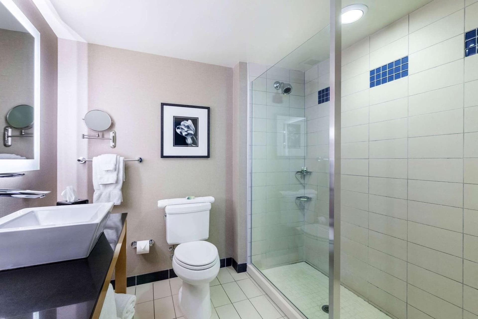 Cambria Hotel Pittsburgh - Downtown gallery photo in Pittsburgh, PA — image 26