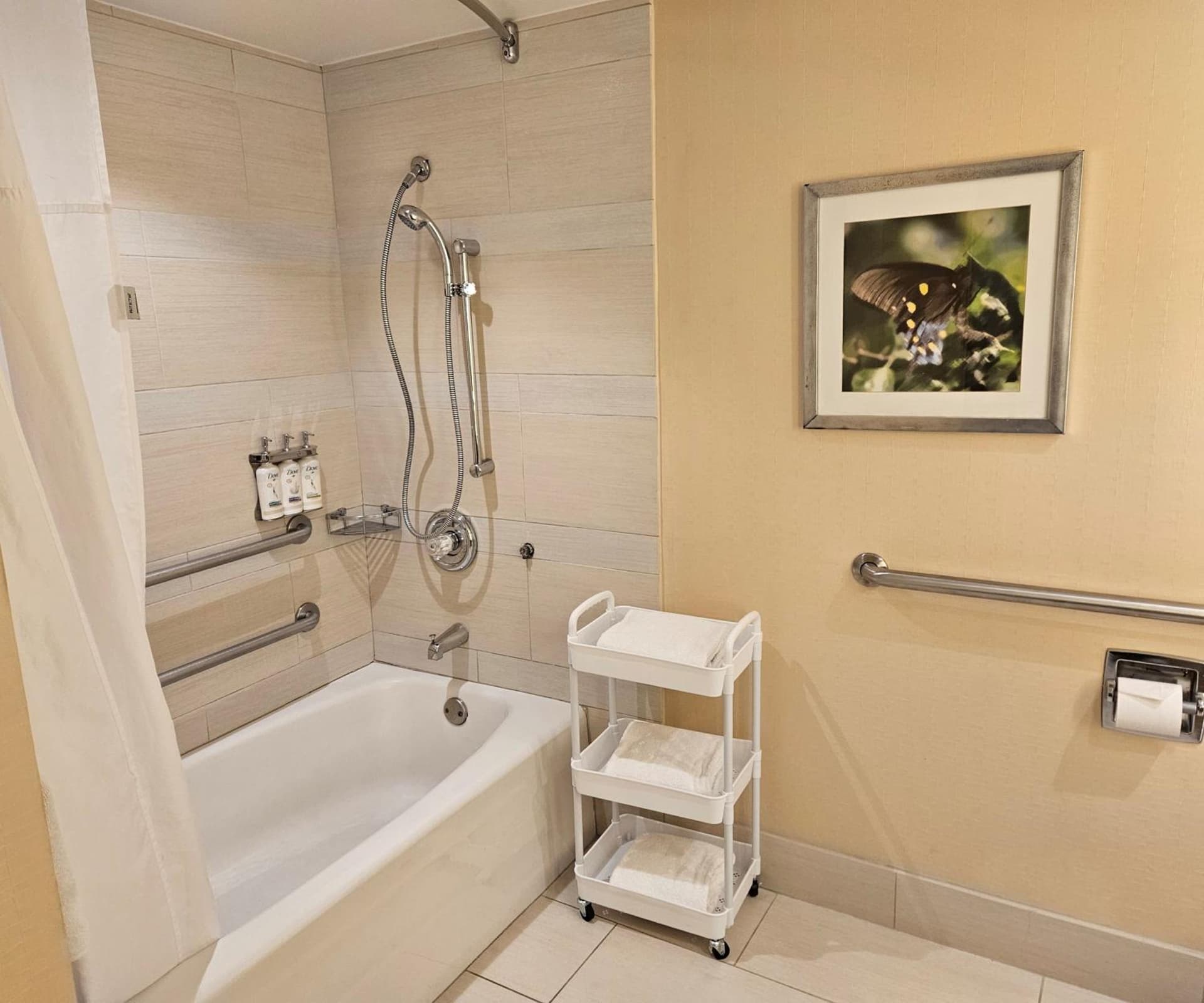 Holiday Inn Austin -Town Lake by IHG gallery photo in Austin, TX — image 26