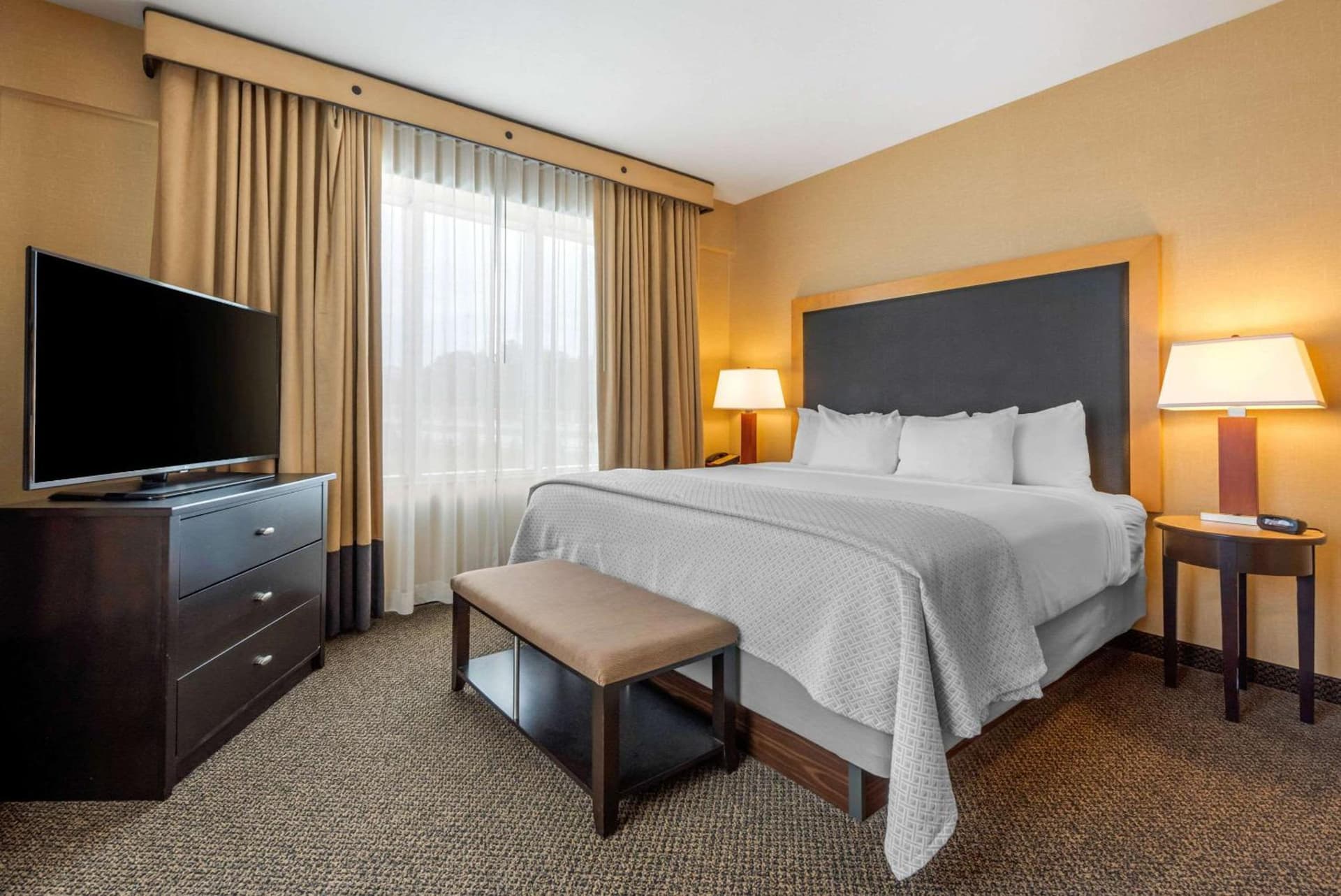 Cambria Hotel Akron - Canton Airport gallery photo in Uniontown, OH — image 19