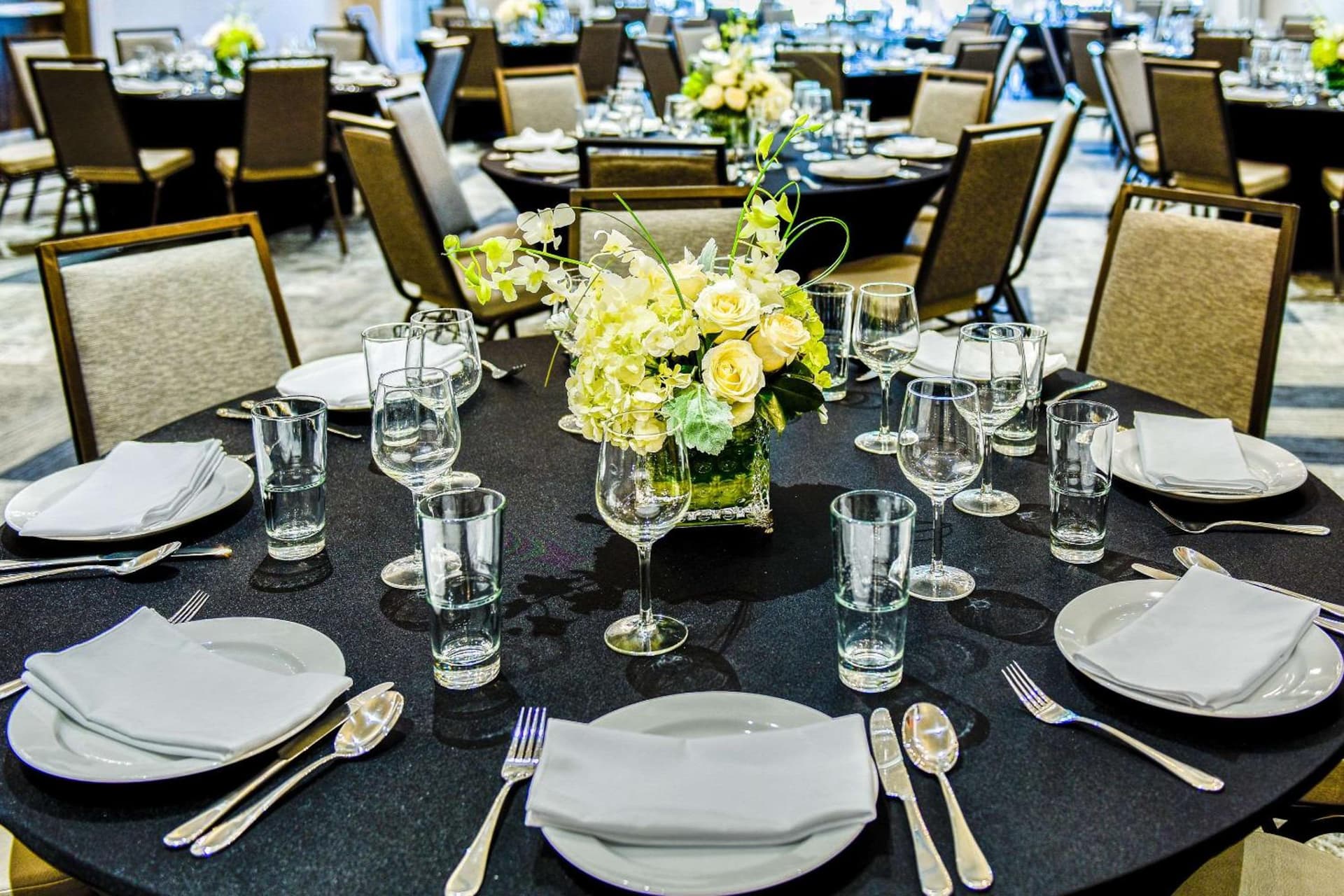 Cambria Hotel McAllen Convention Center gallery photo in McAllen, TX — image 21