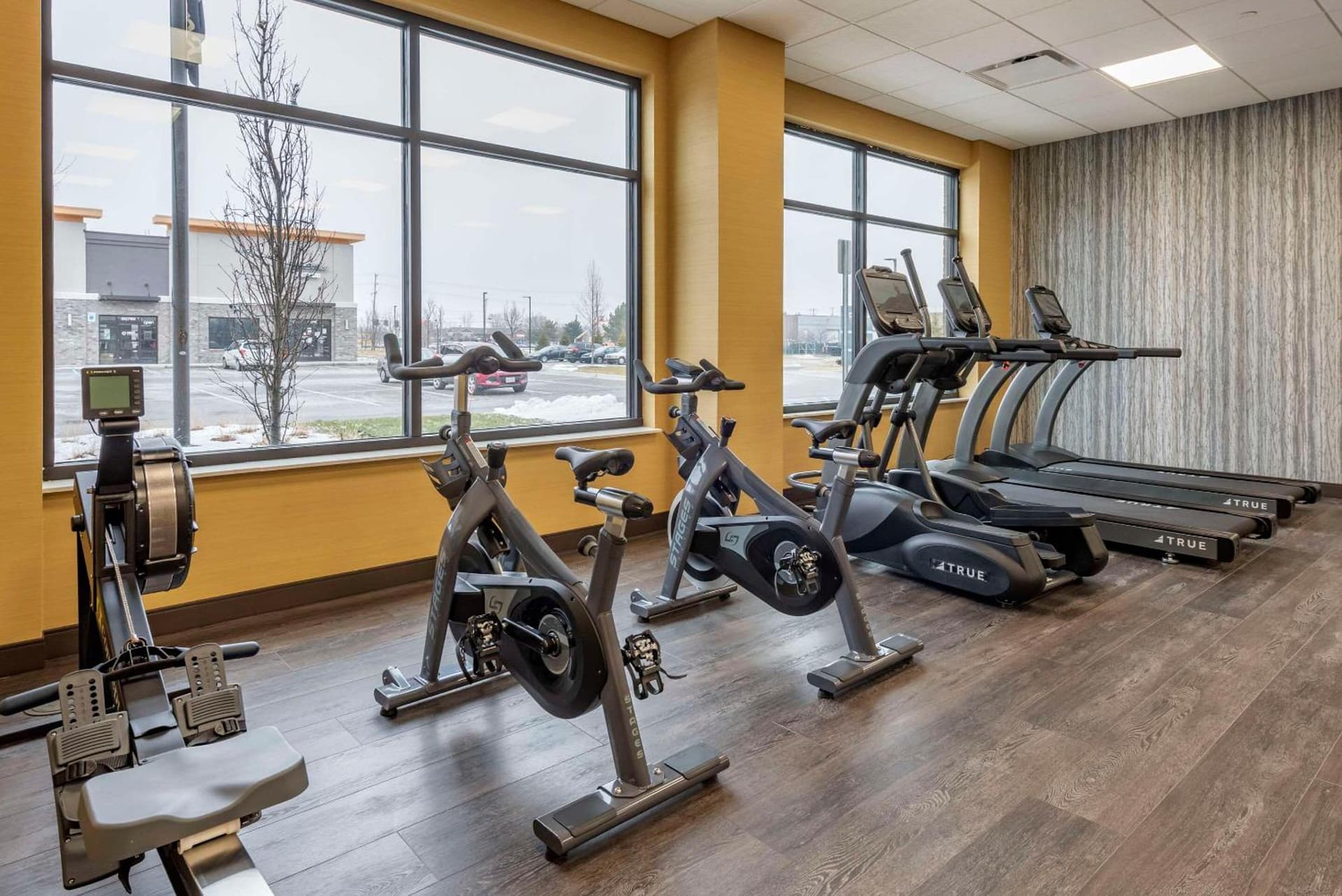Cambria Hotel Shelby Township - Detroit Utica gallery photo in Shelby, MI — image 59
