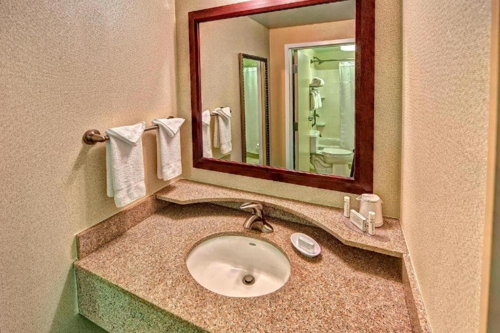 SpringHill Suites Norfolk Old Dominion University gallery photo in Norfolk, VA — image 19