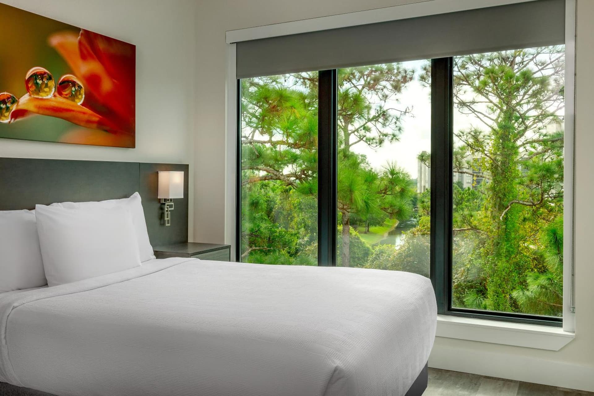 The Grove Resort & Water Park Orlando gallery photo in Orlando, FL — image 23