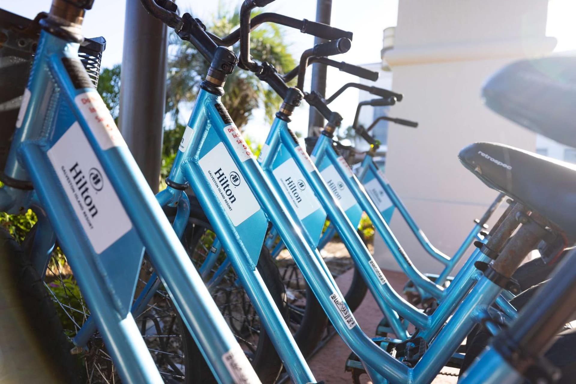 Hilton Galveston Island Resort gallery photo in Galveston, TX — image 75