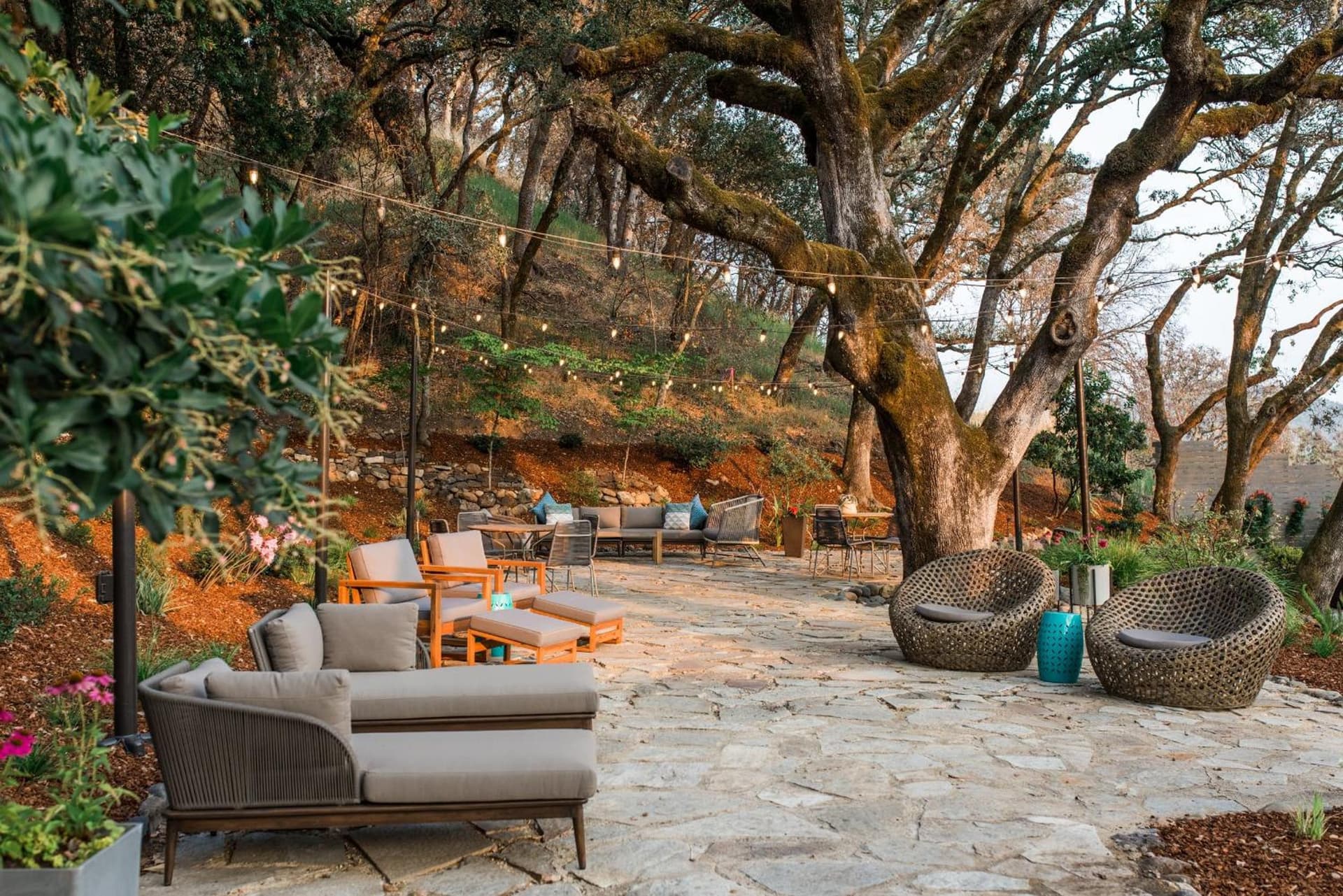 Olea Hotel gallery photo in Glen Ellen, CA — image 20