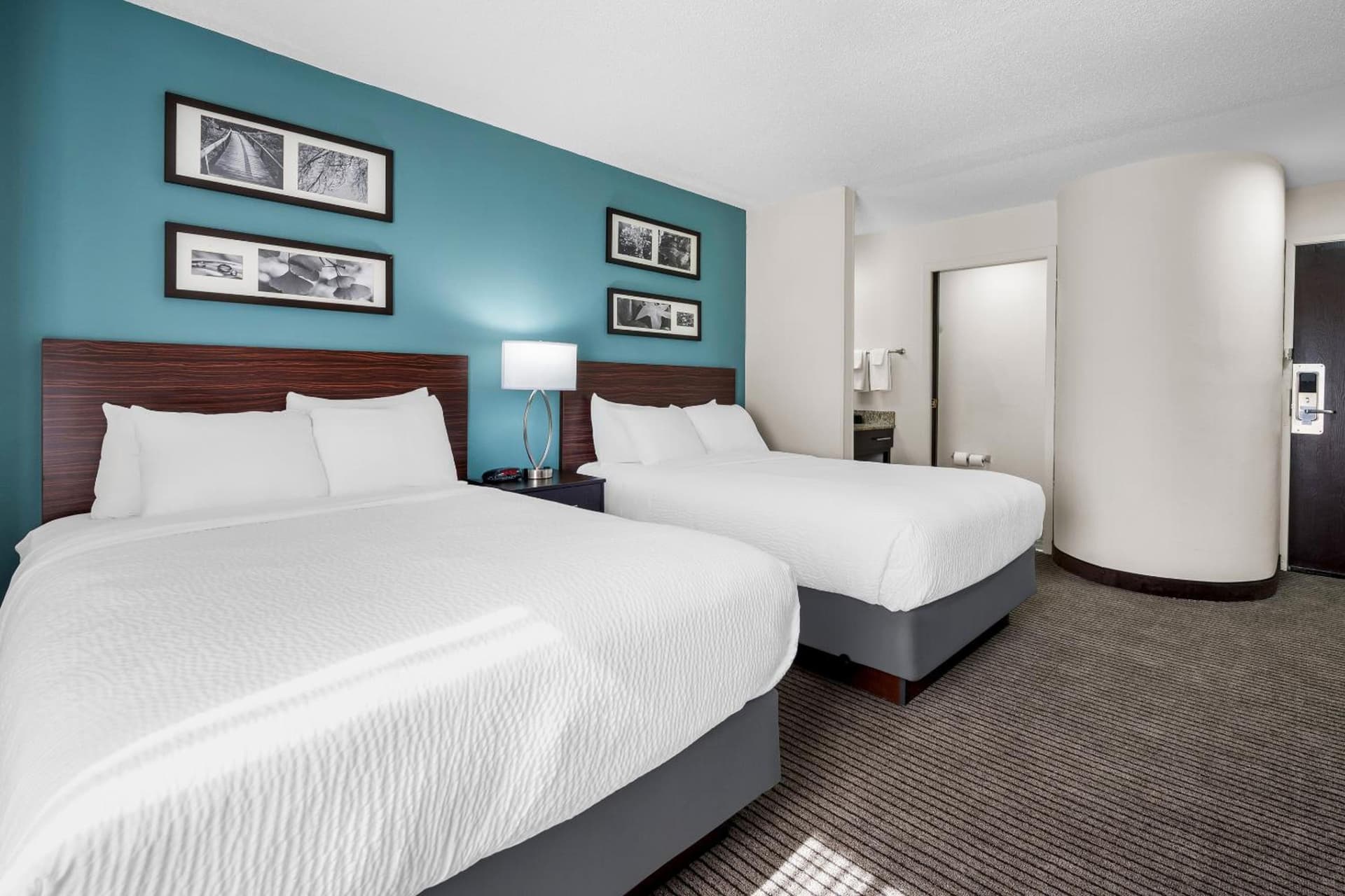 Sleep Inn Springfield West gallery photo in Springfield, IL — image 61