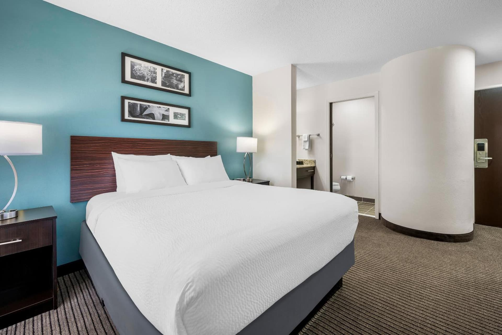 Sleep Inn Springfield West gallery photo in Springfield, IL — image 58