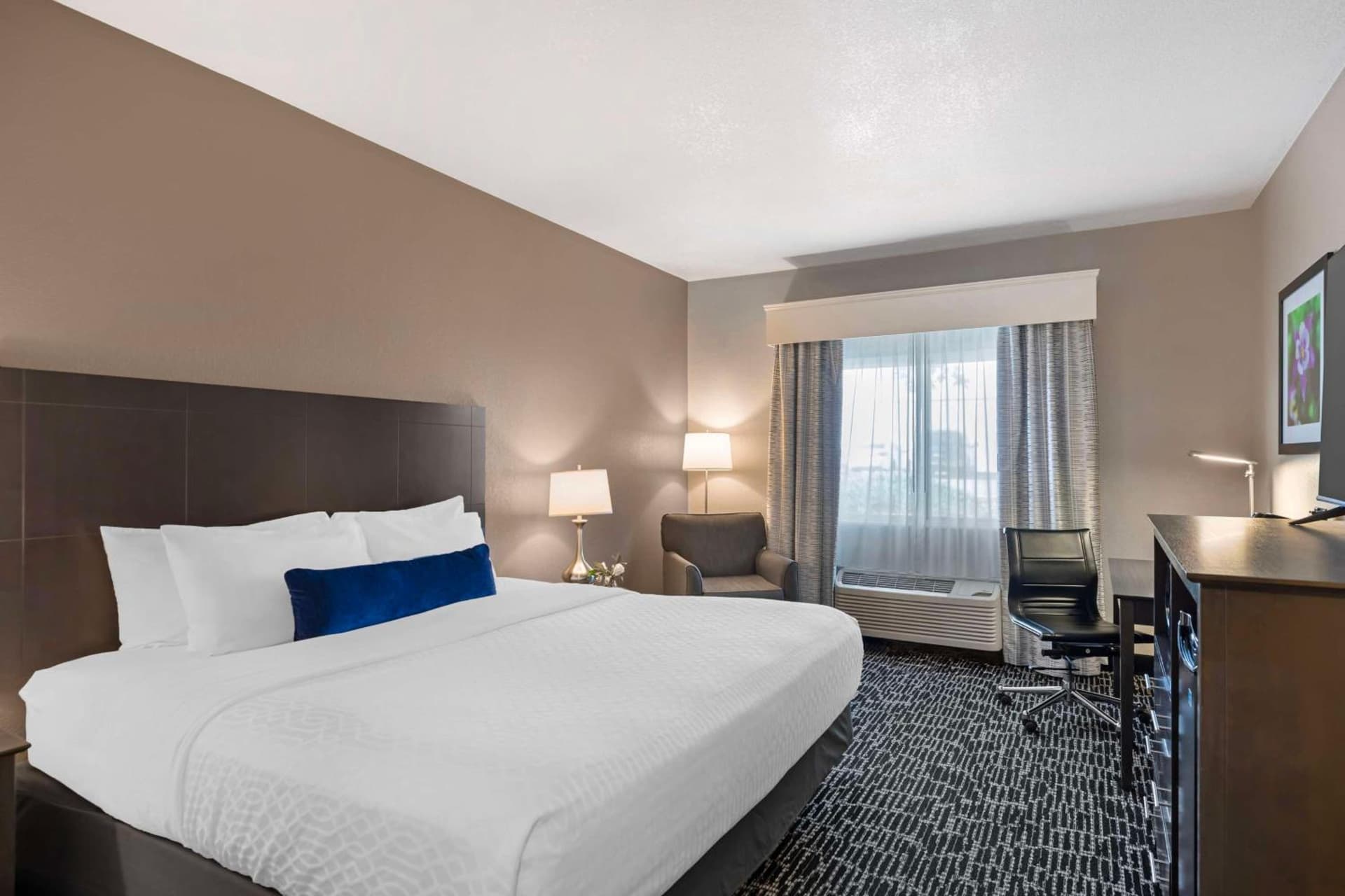 Best Western Greeley gallery photo in Greeley, CO — image 33